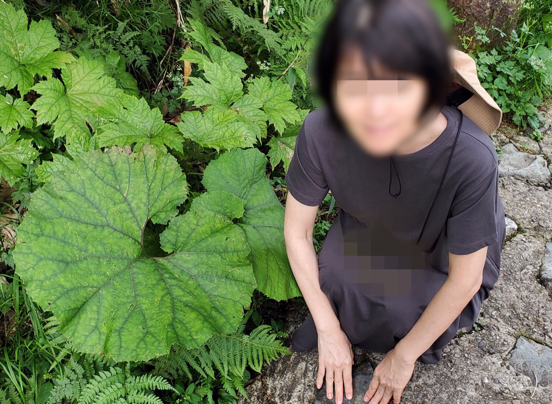 先生妻の咥える姿の画像その1