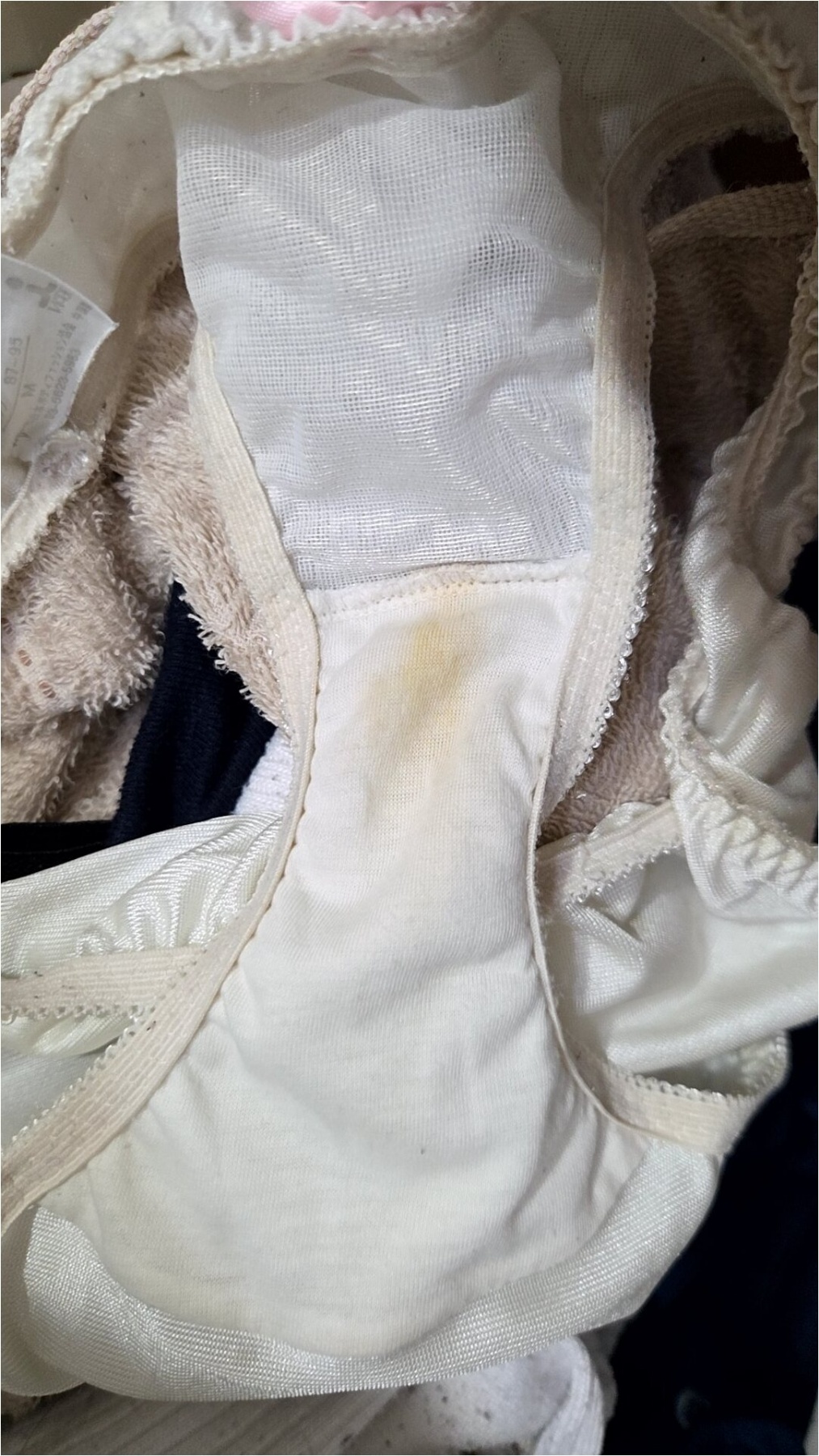 くたくたの画像その5