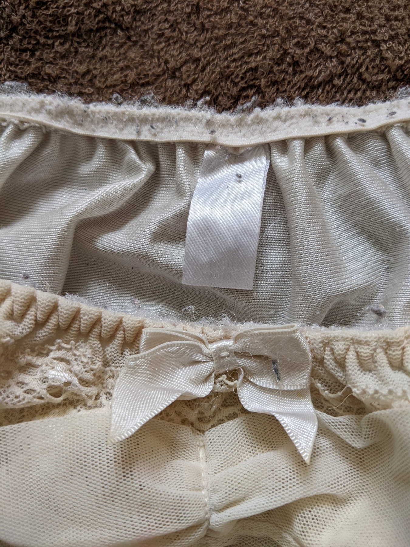 くたくたの画像その1