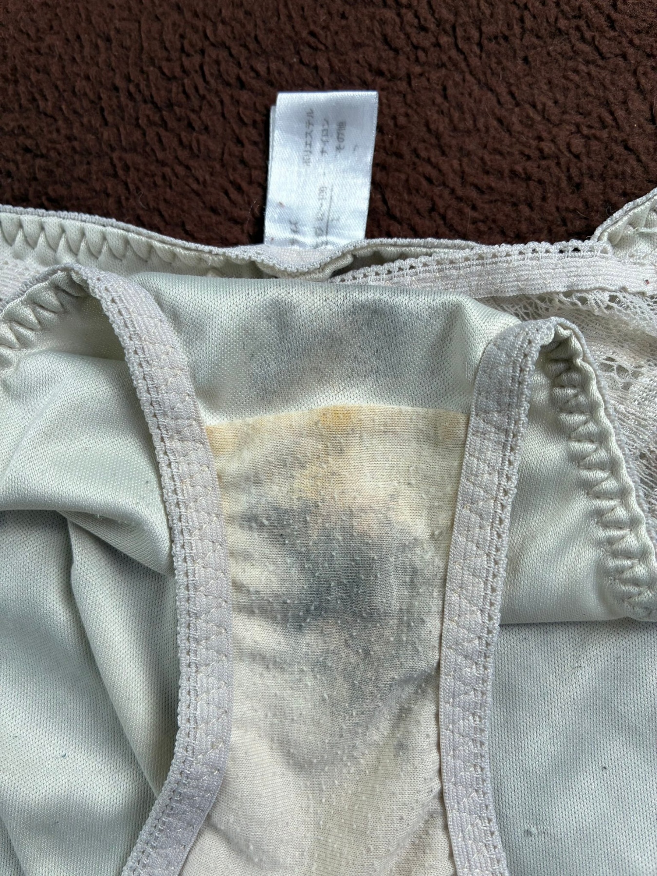 くたくたの画像その3