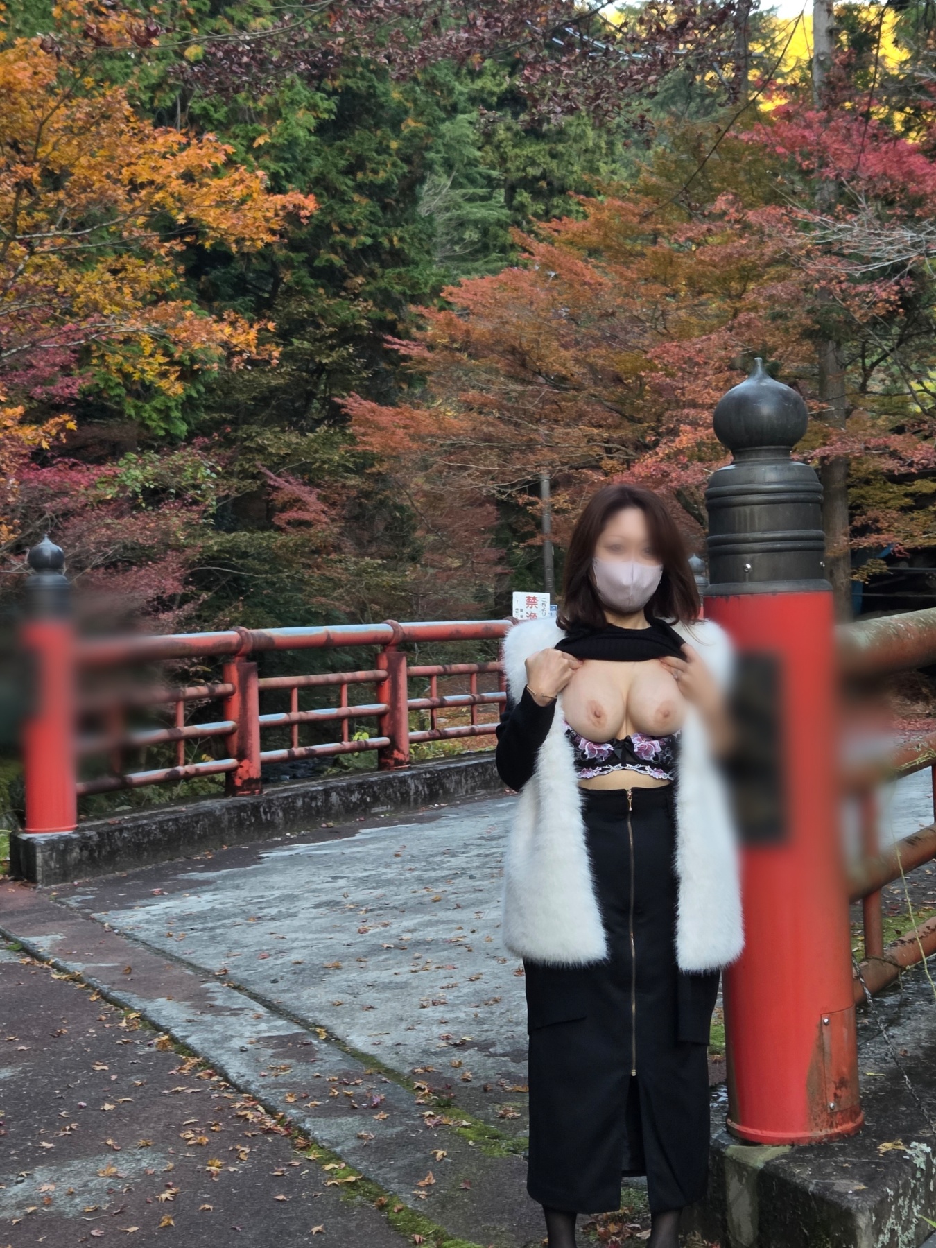 紅葉🍁狩り より〜の画像その1