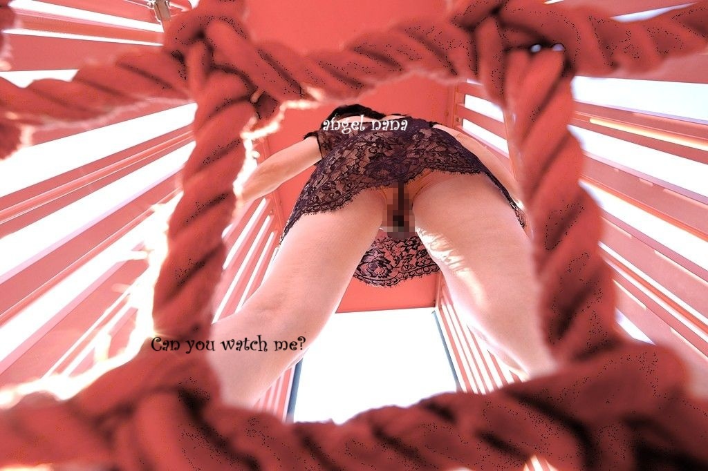 Fun In The Parkの画像その2