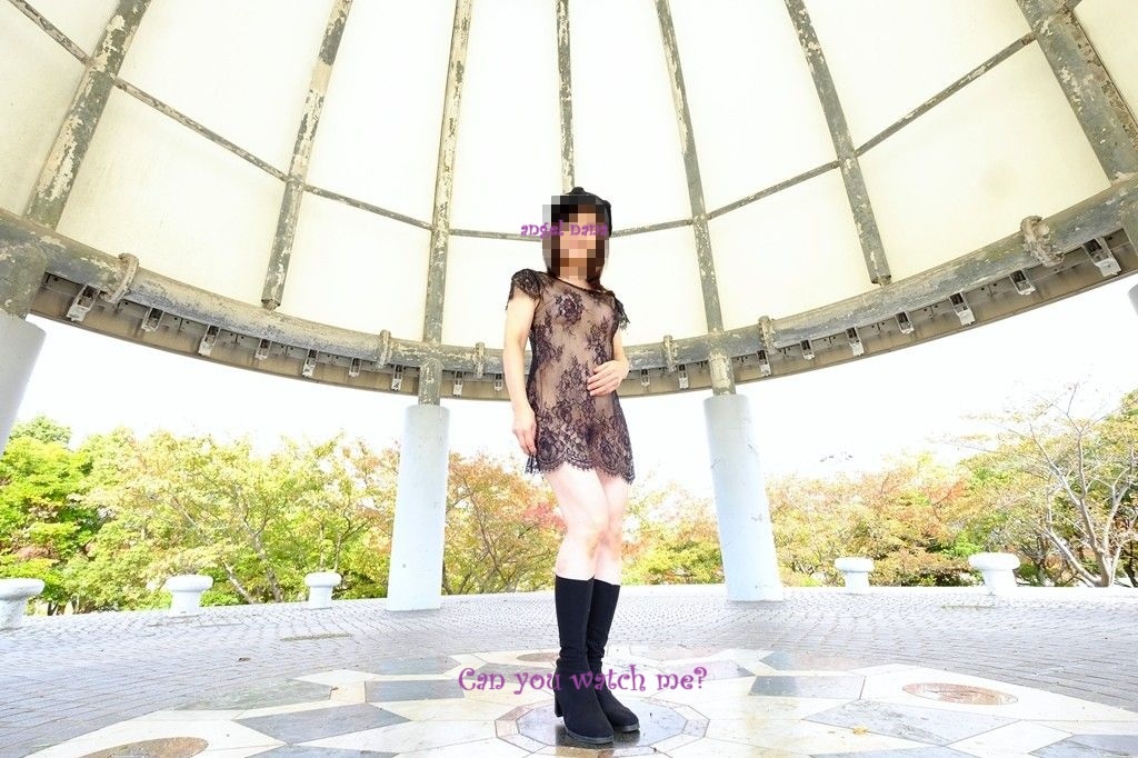 Fun In The Parkの画像その5