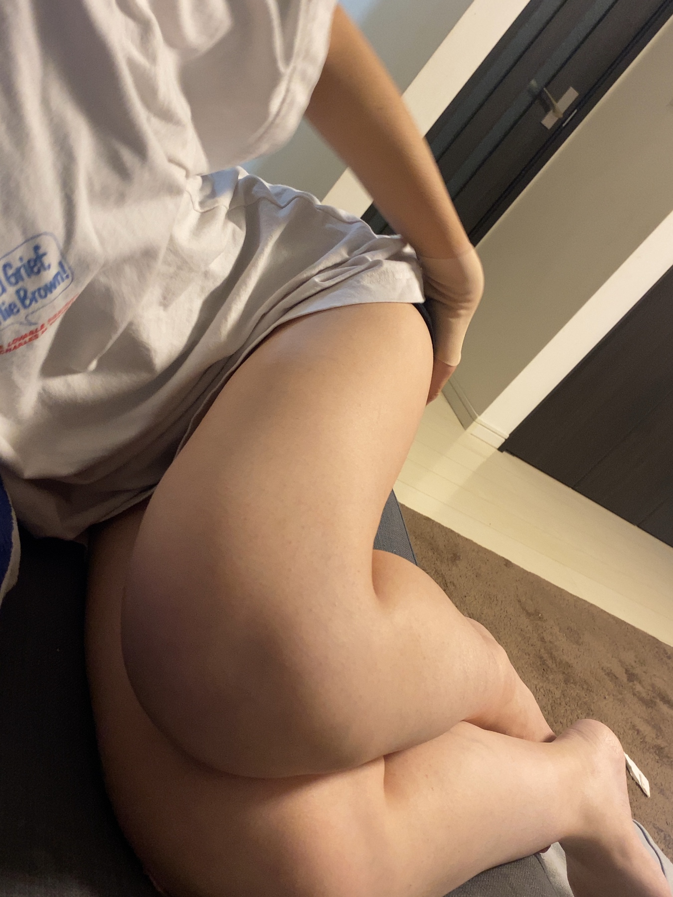 ベルモの画像その3