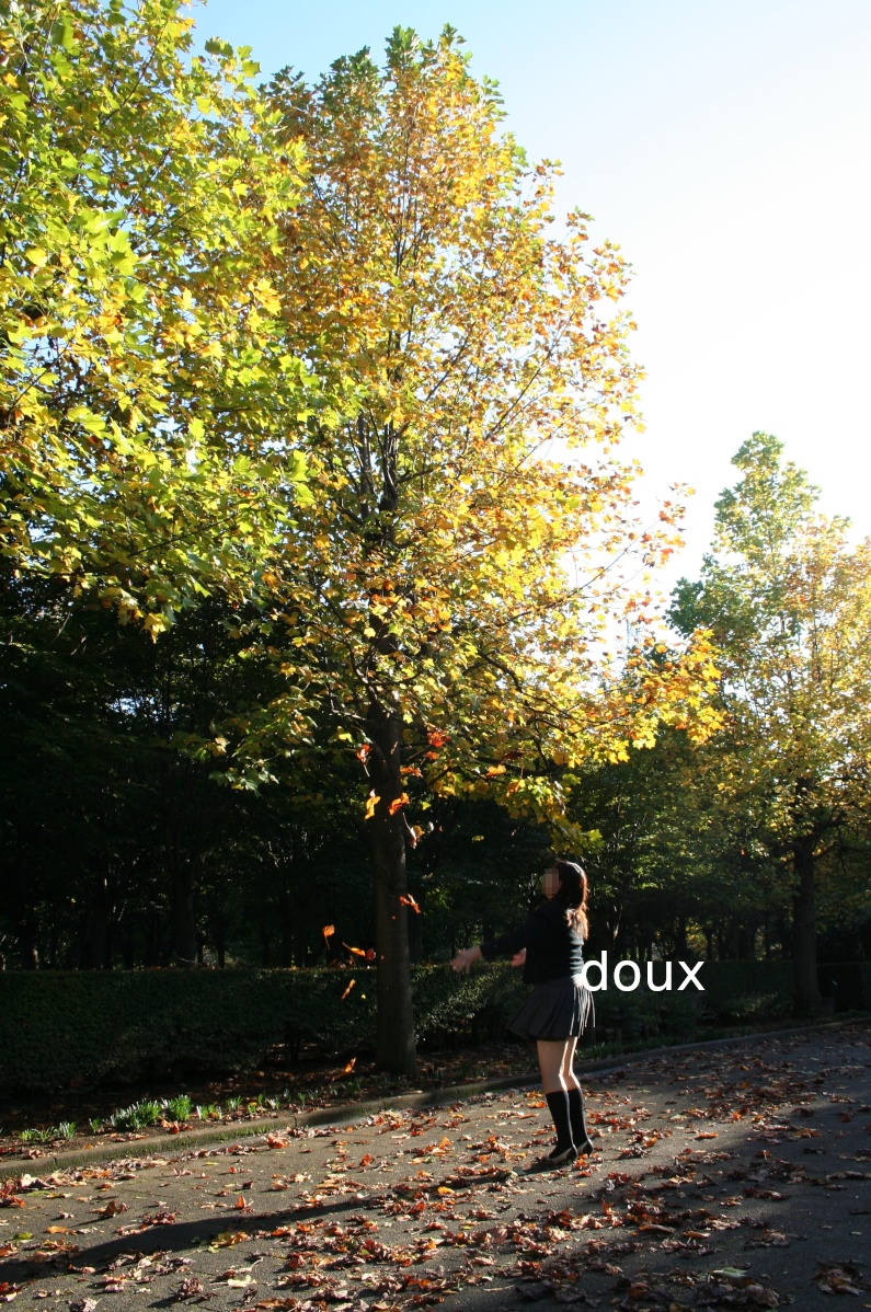 紅葉が綺麗な公園で…の画像その2