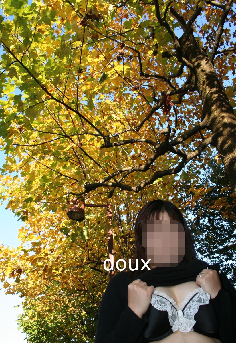 紅葉が綺麗な公園で…の画像その3