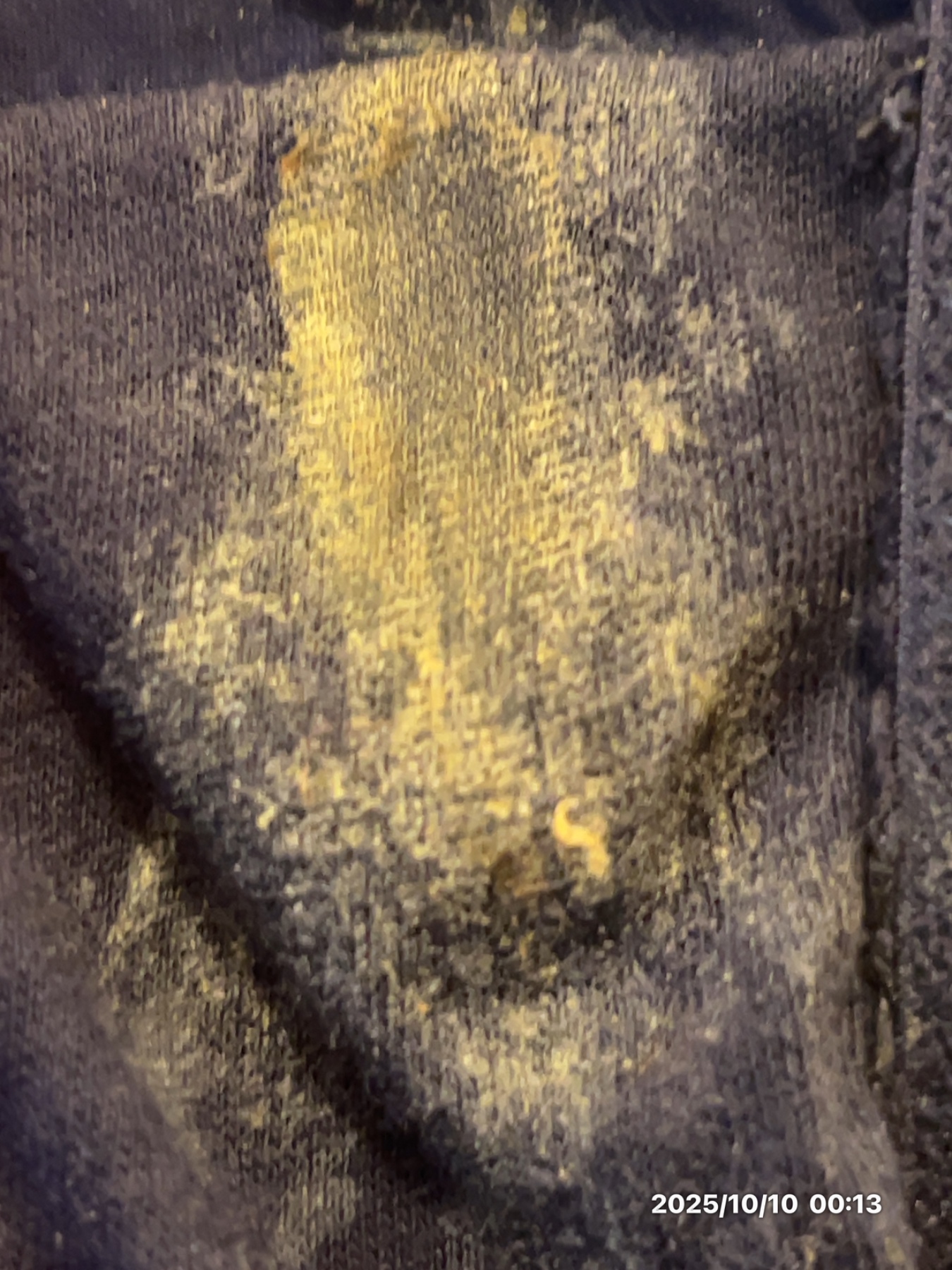 愛嫁の脱ぎたてパンツの画像その2