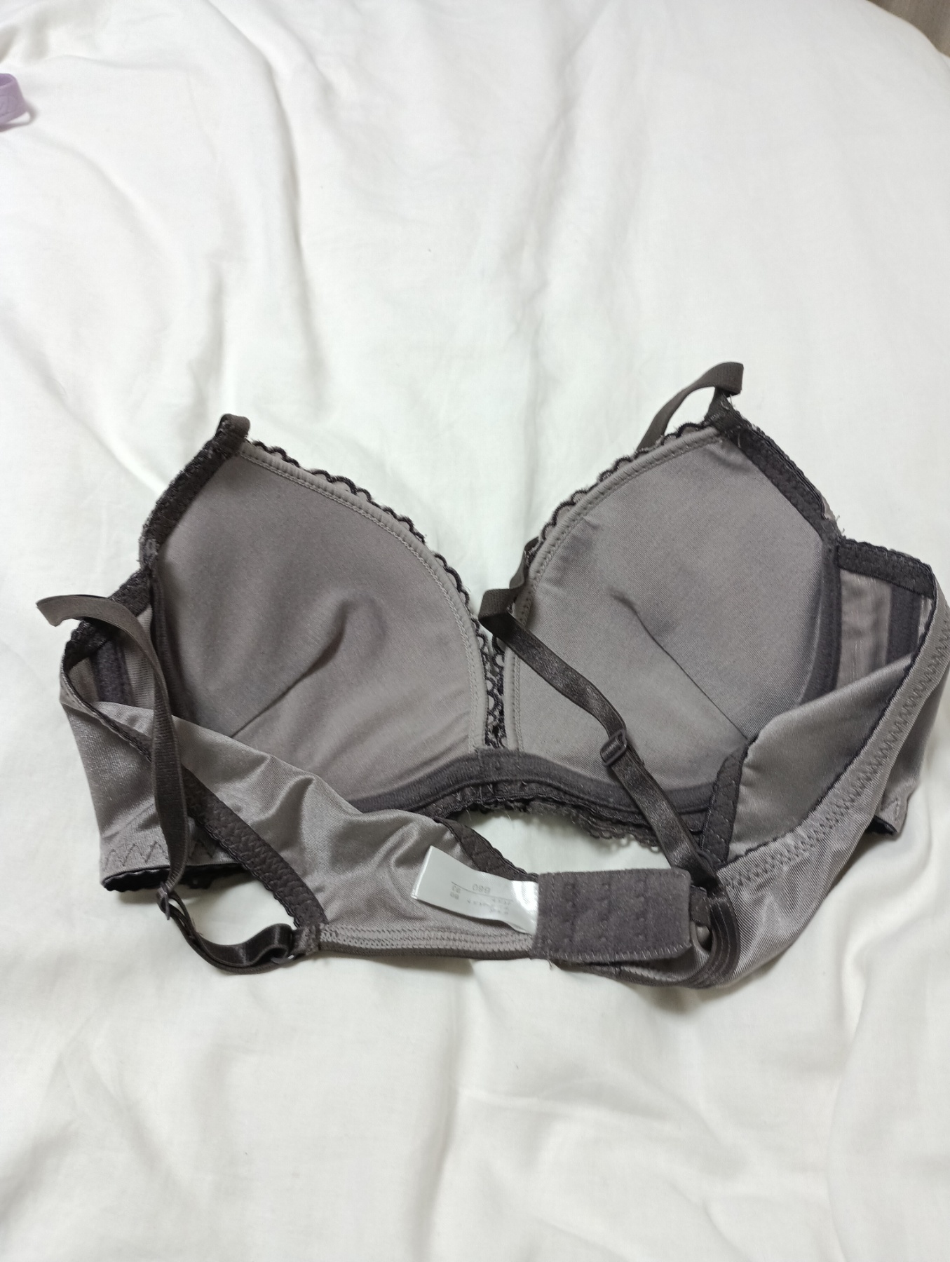 家族の画像その2