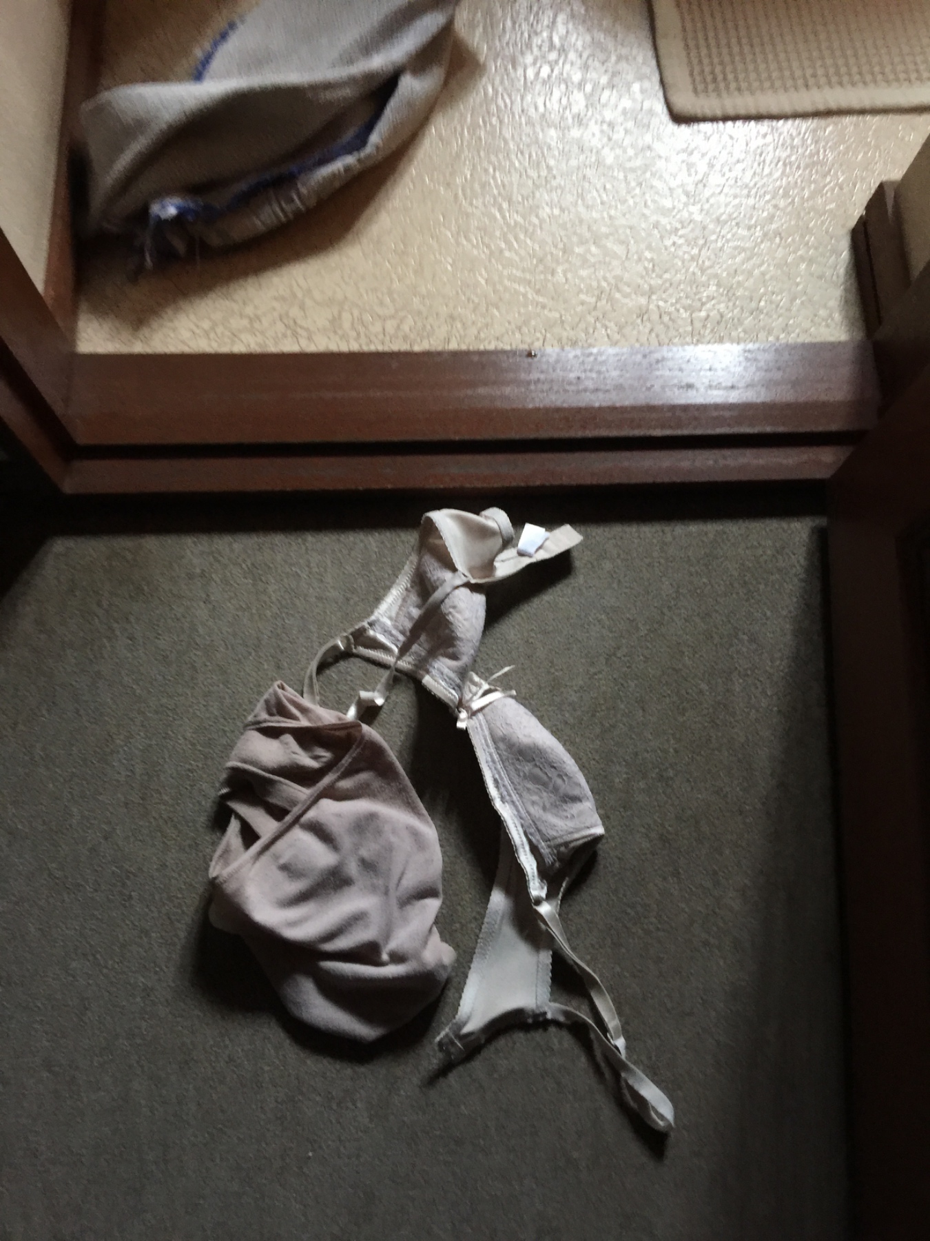 普通の熟妻の…の画像その3