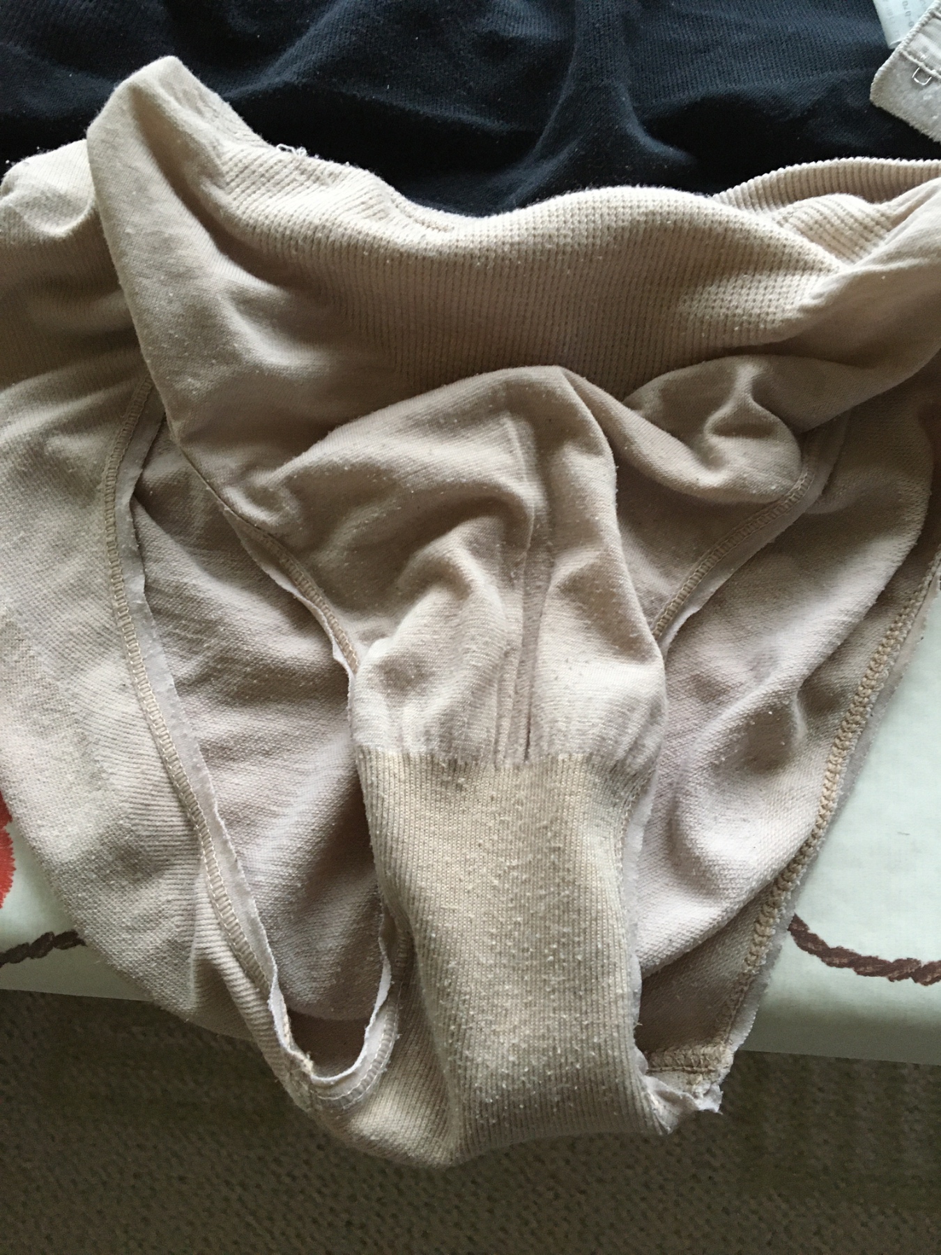 普通の熟妻の…の画像その2