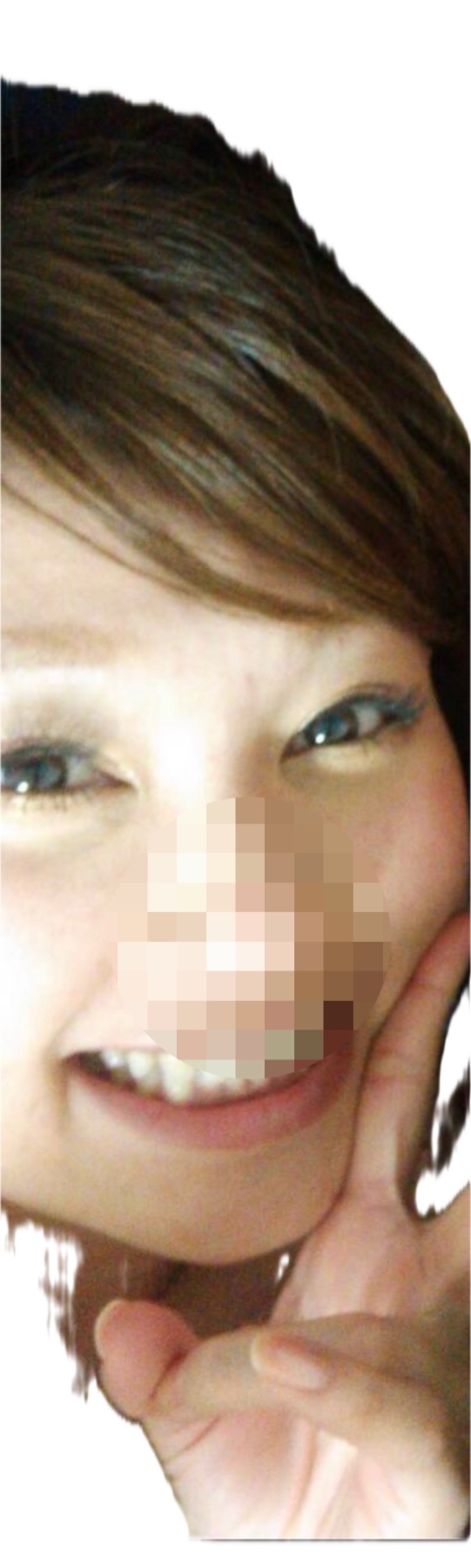 ２回目募集　の画像その3