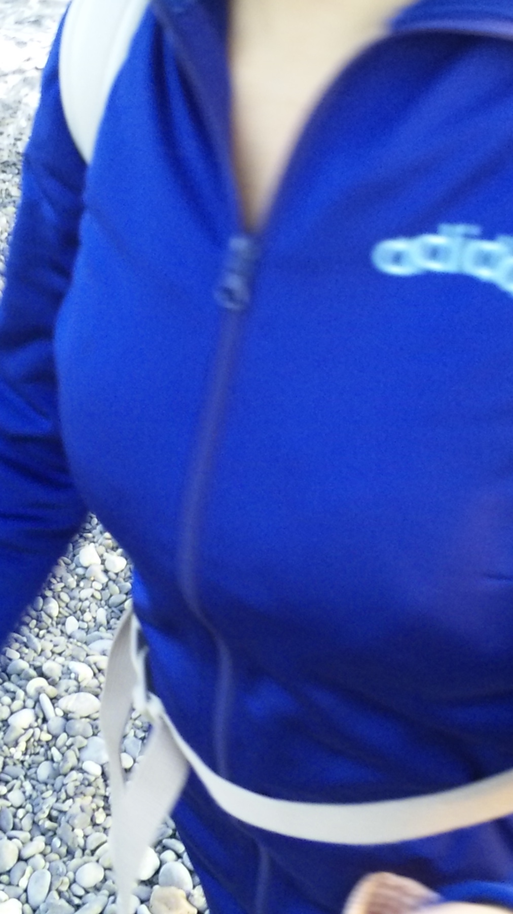 授乳パイの画像その5