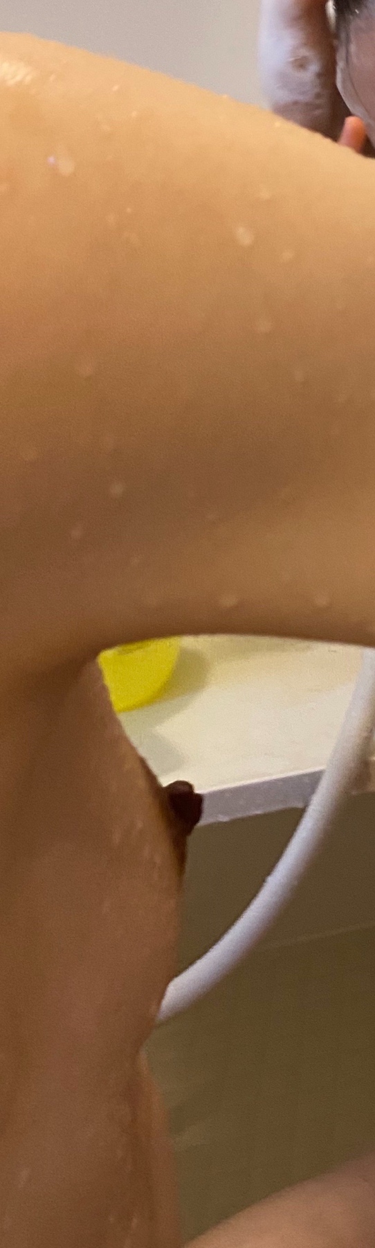 第三弾の画像その1