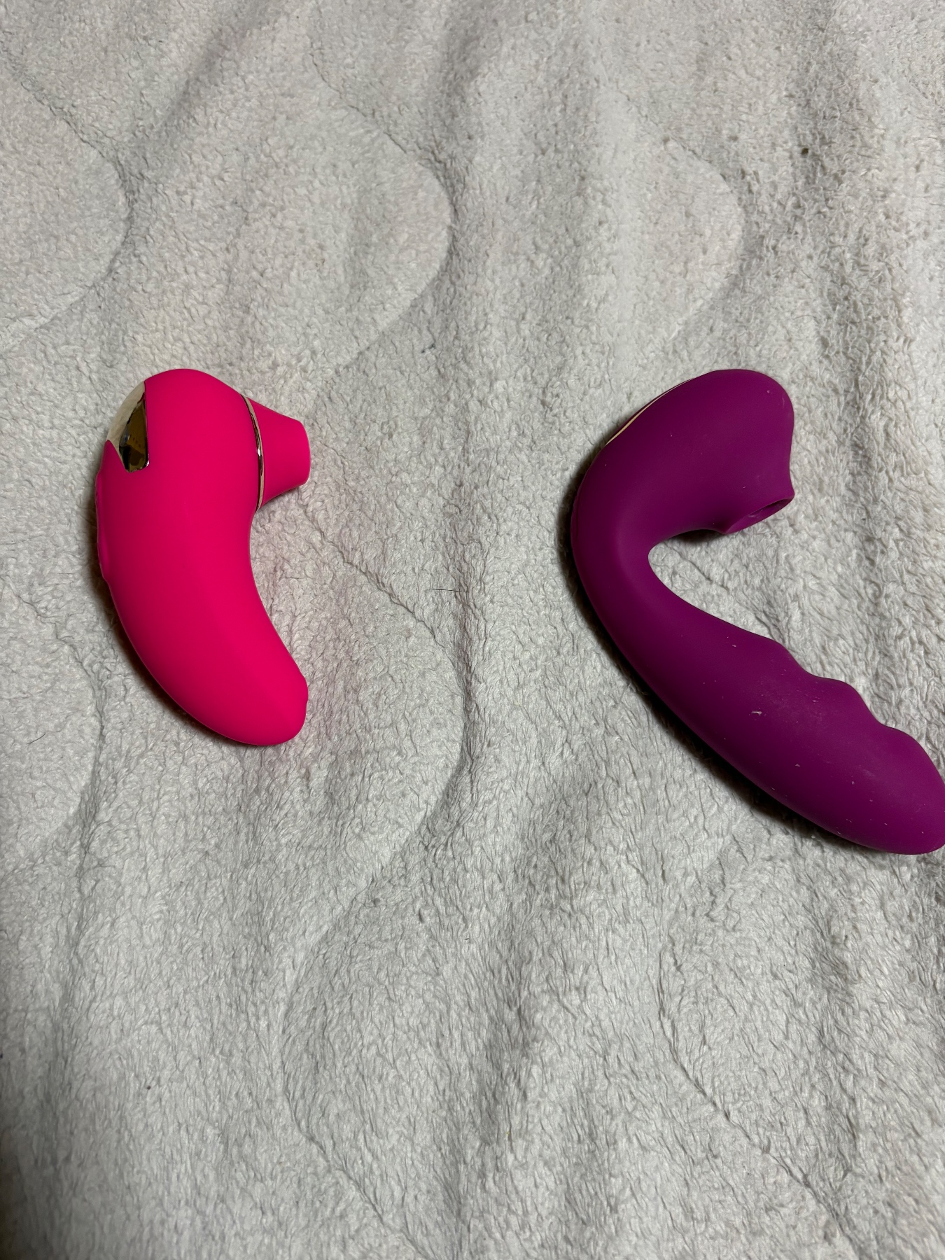 嫁のベッドからの画像その1