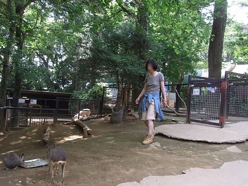 動物園の画像その1