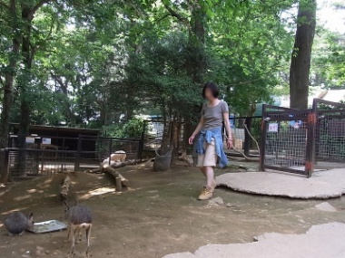 動物園