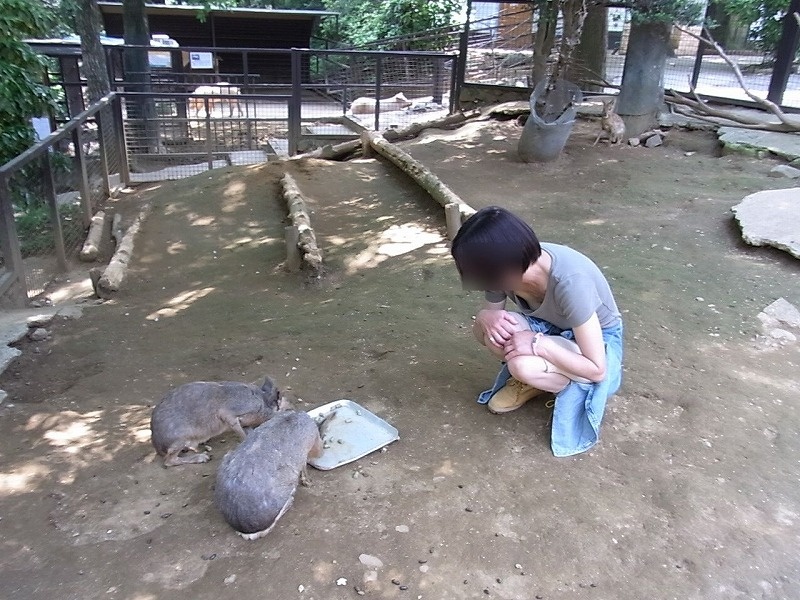 動物園の画像その2