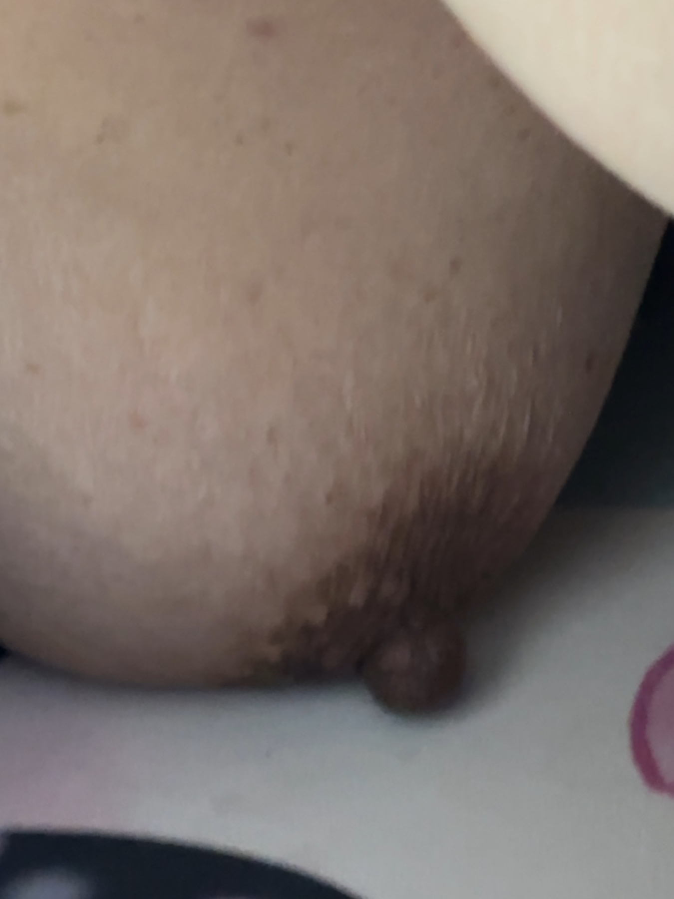 ポロリの画像その3