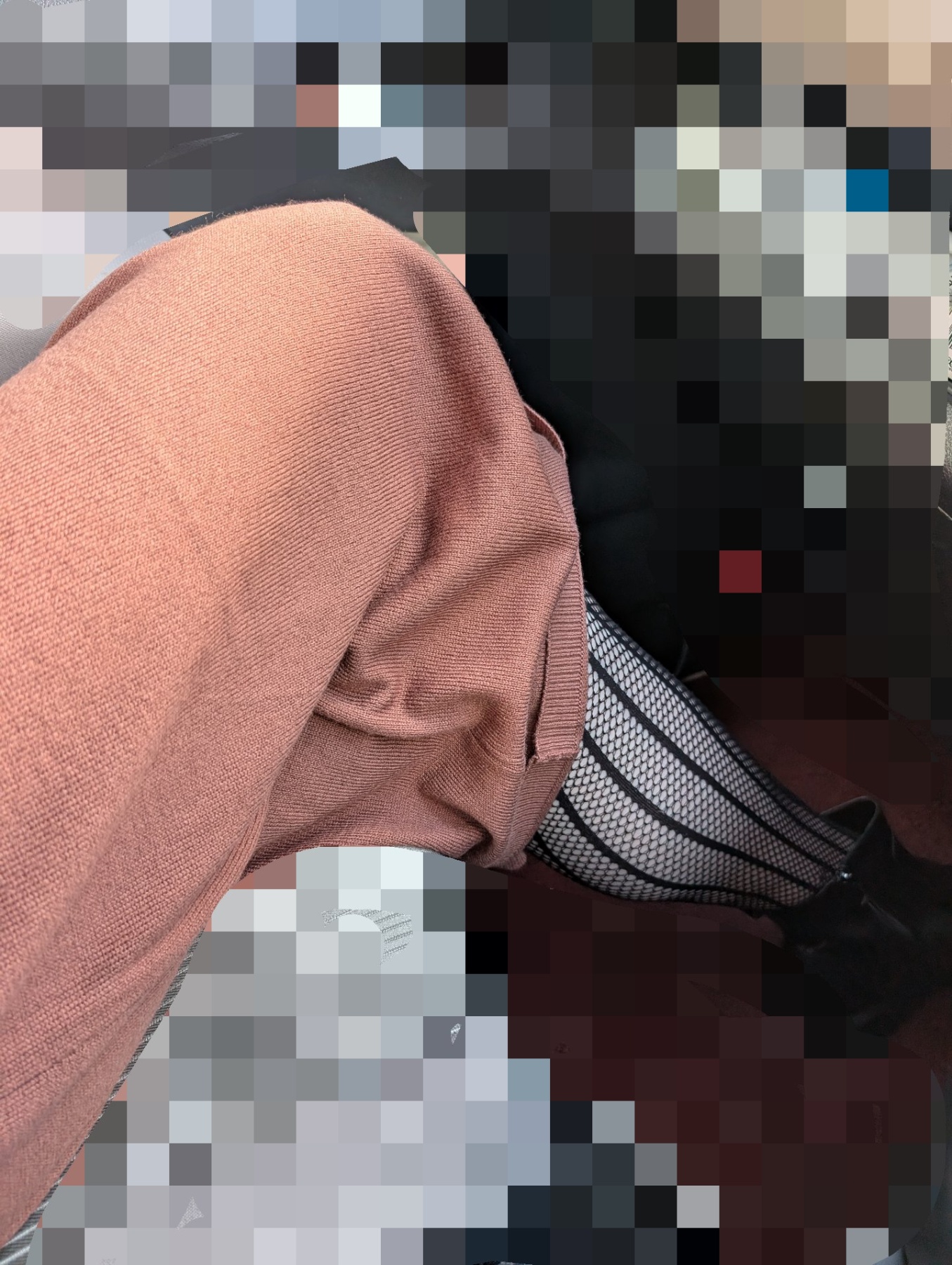 珠璃亜様の犬の画像その3