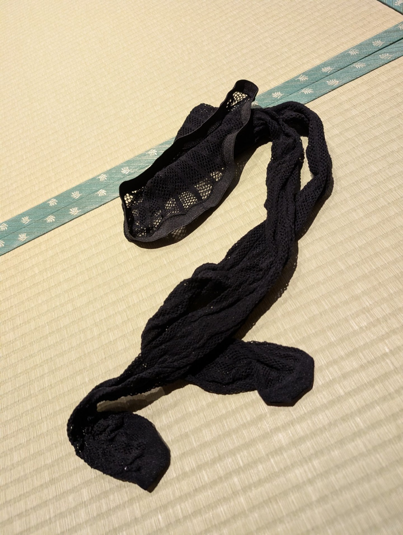 珠璃亜様の犬の画像その5