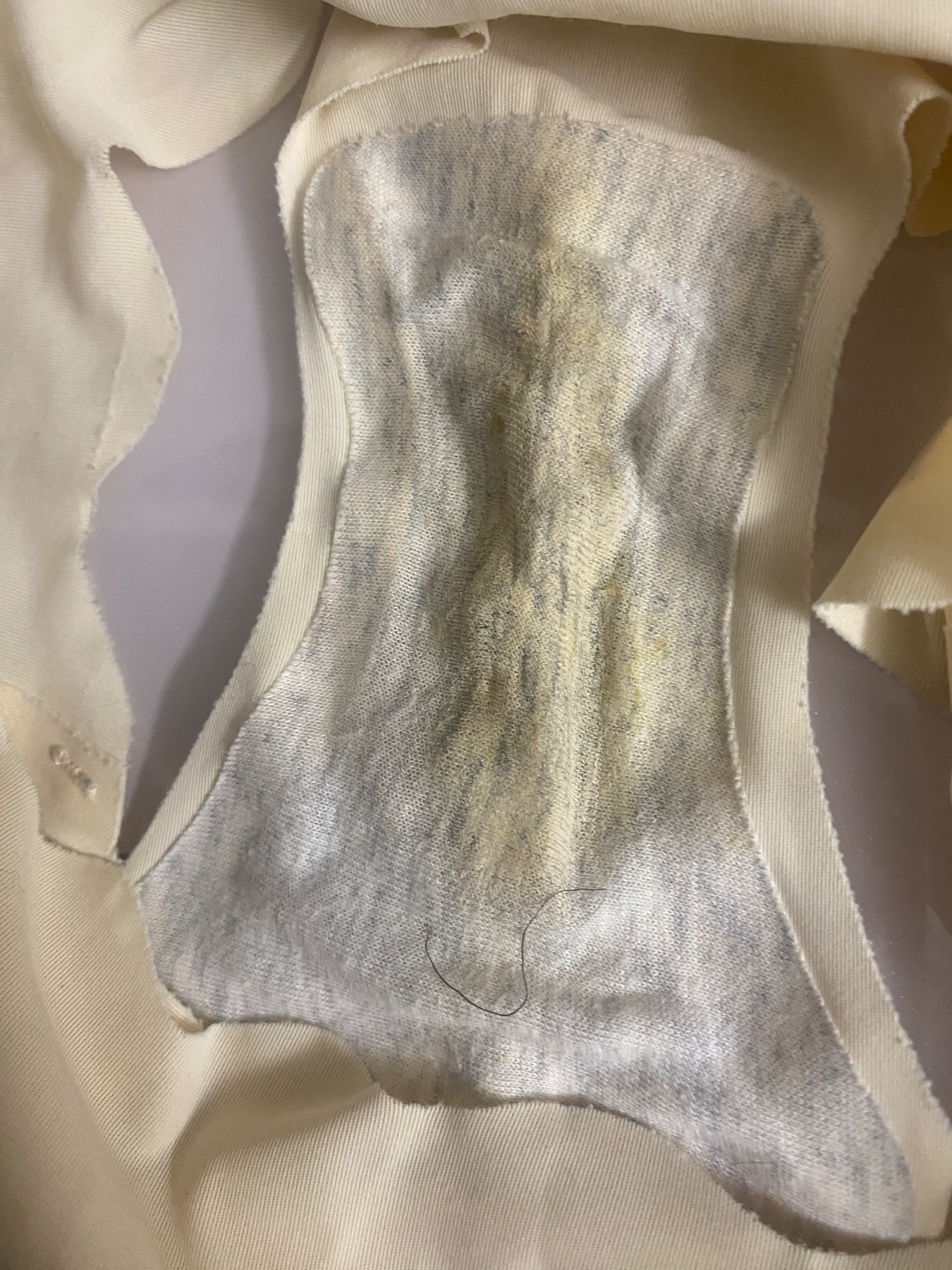 すけすけ剛毛の画像その5