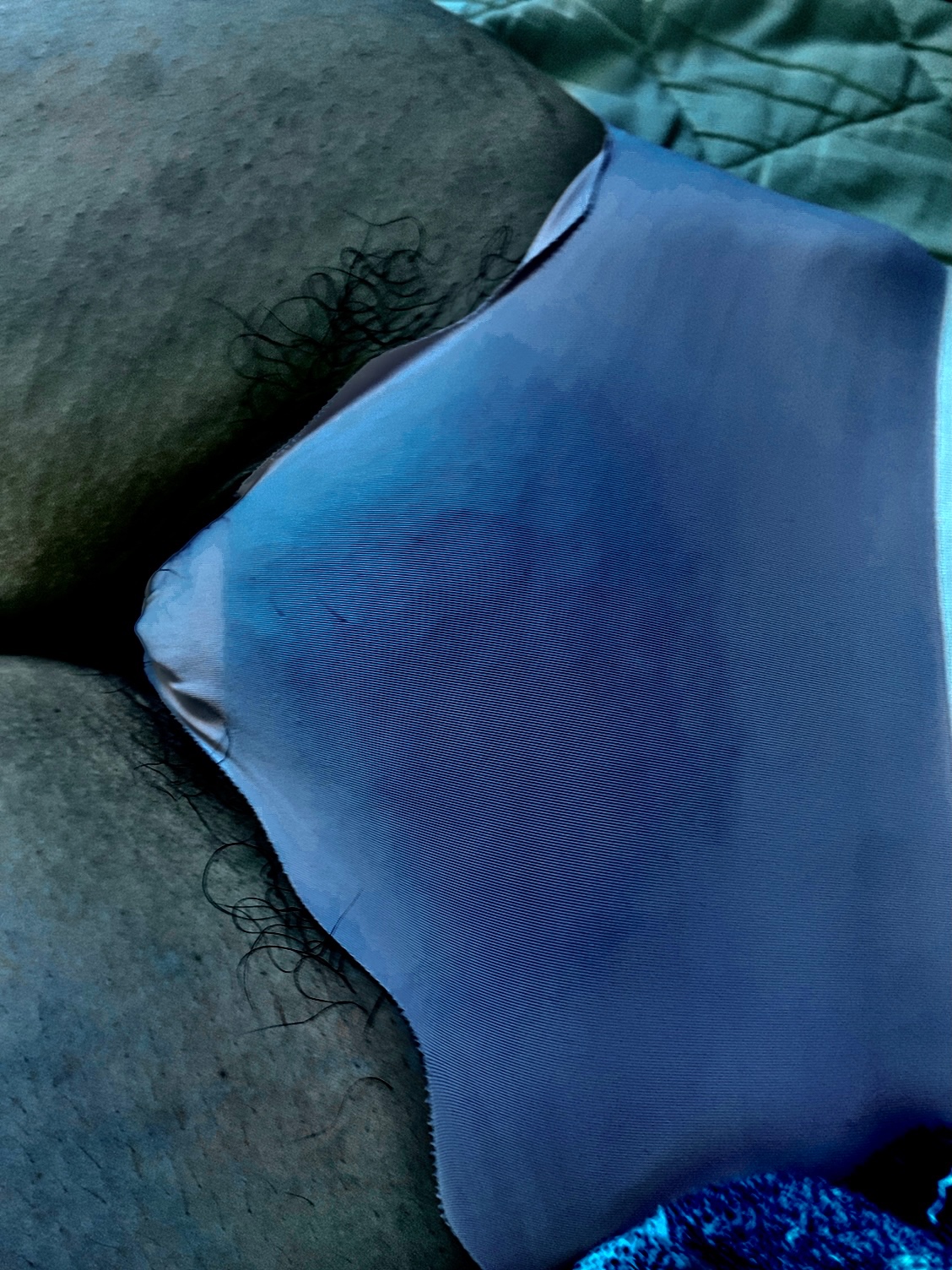 すけすけ剛毛の画像その3