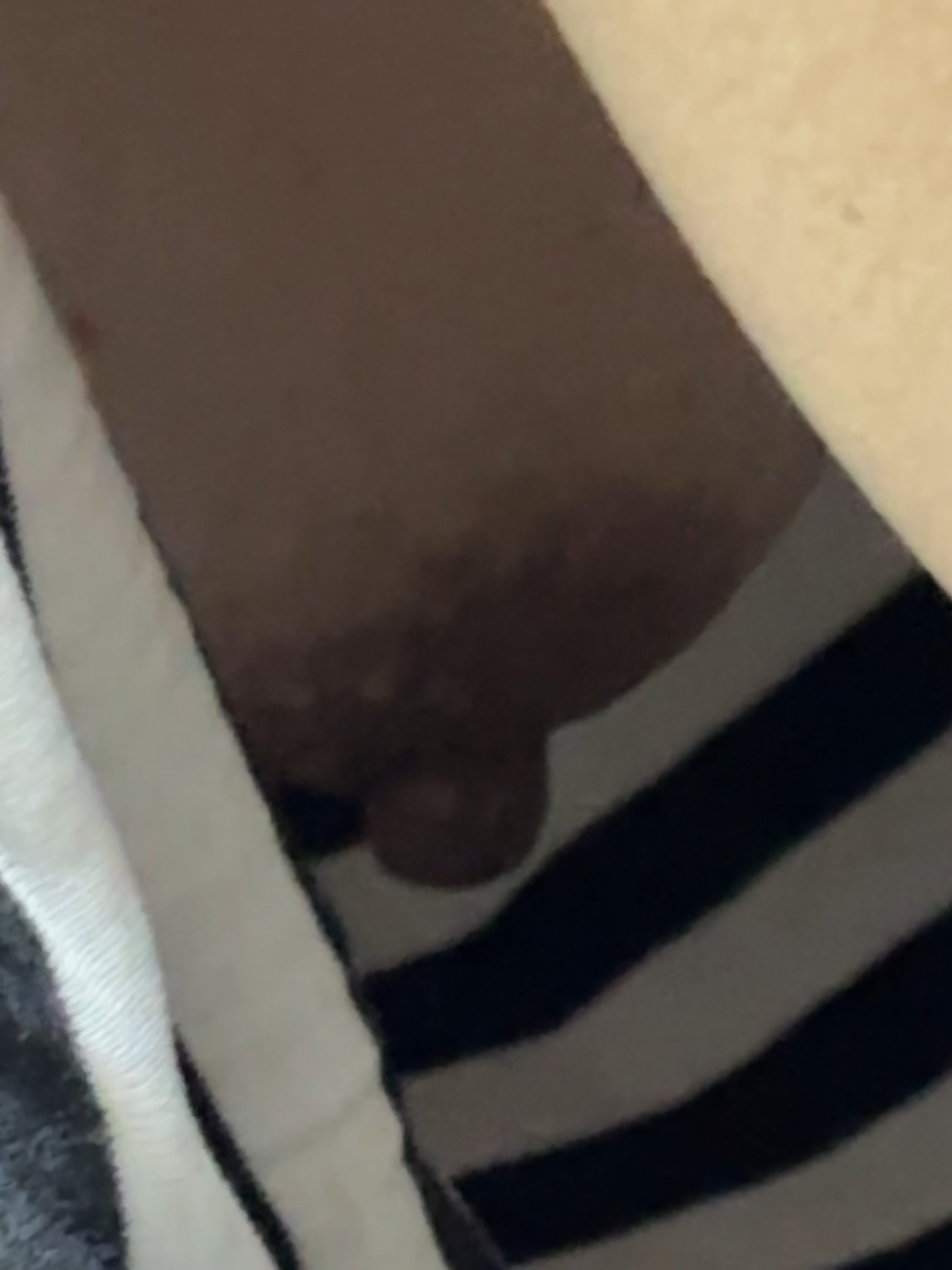 豊満妻の画像その1