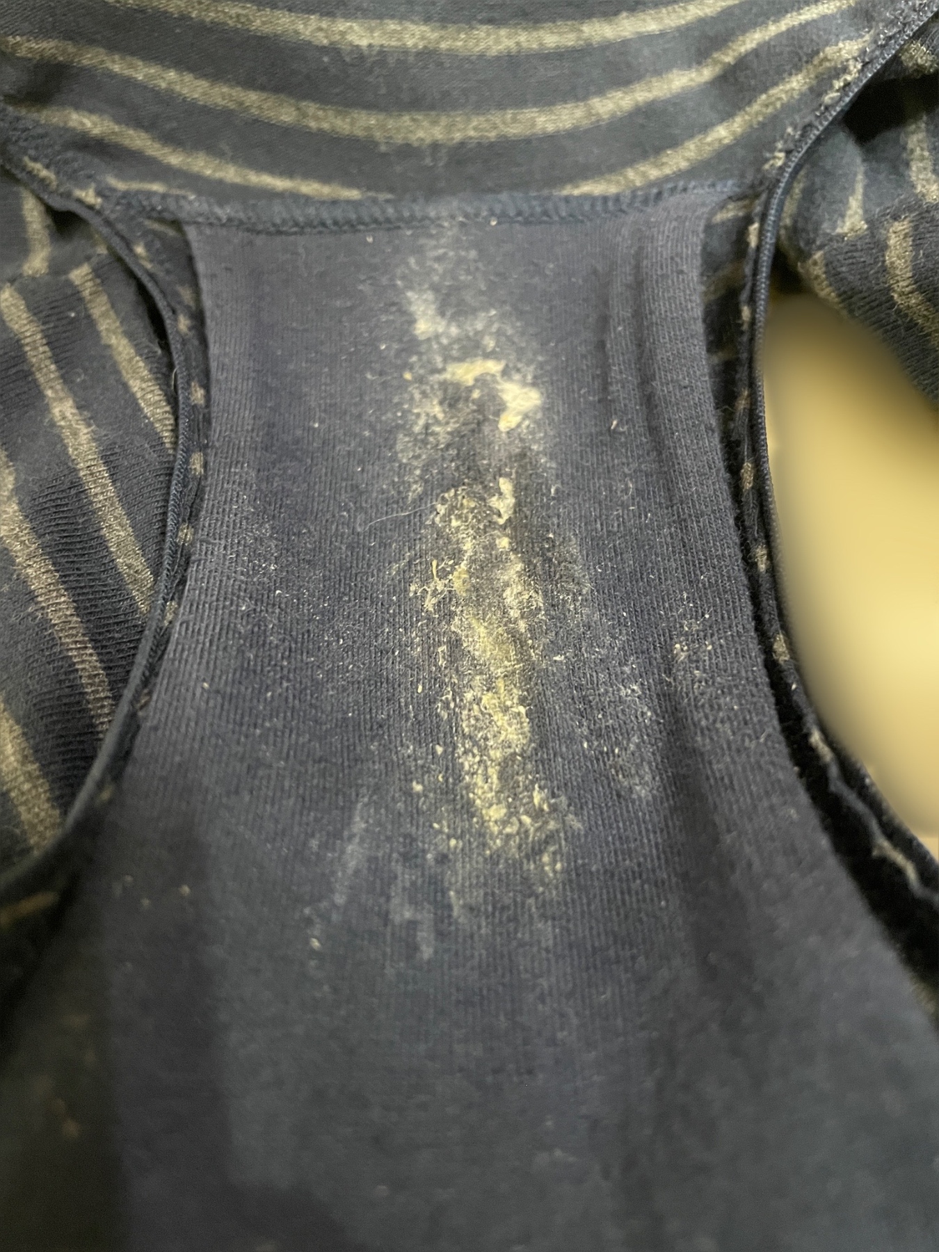 ◯姉の画像その4