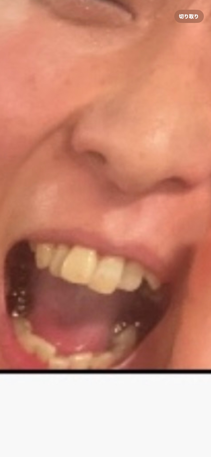 どうしたいの画像その2