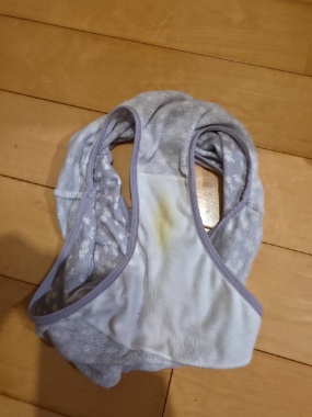 今日の脱ぎたて(24歳)