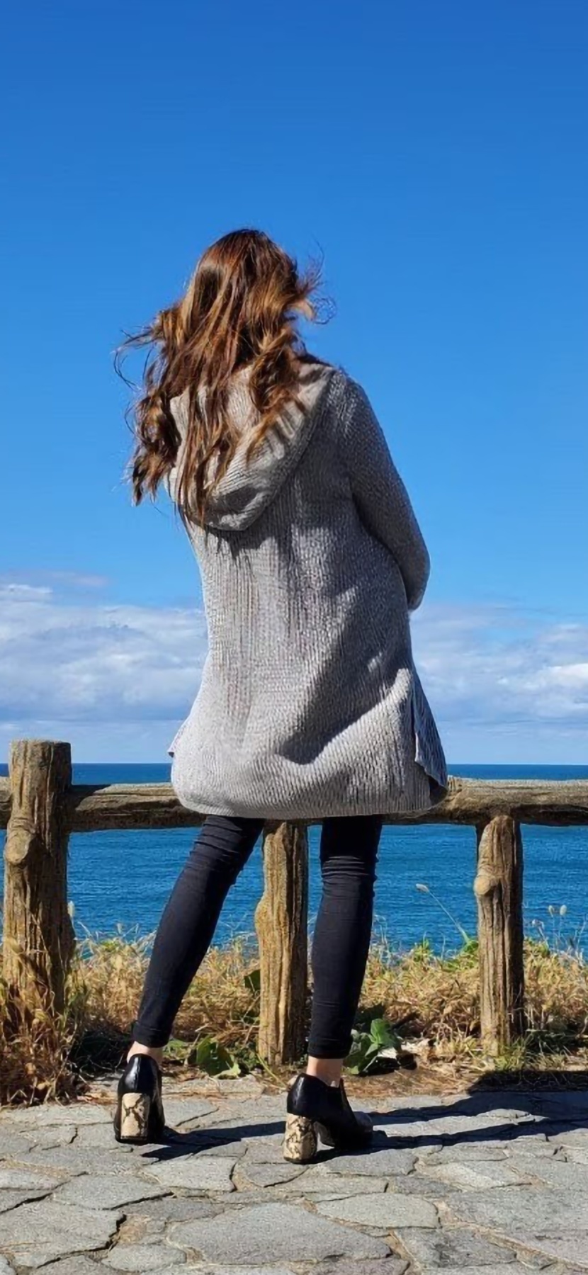 妻の玩具の画像その1