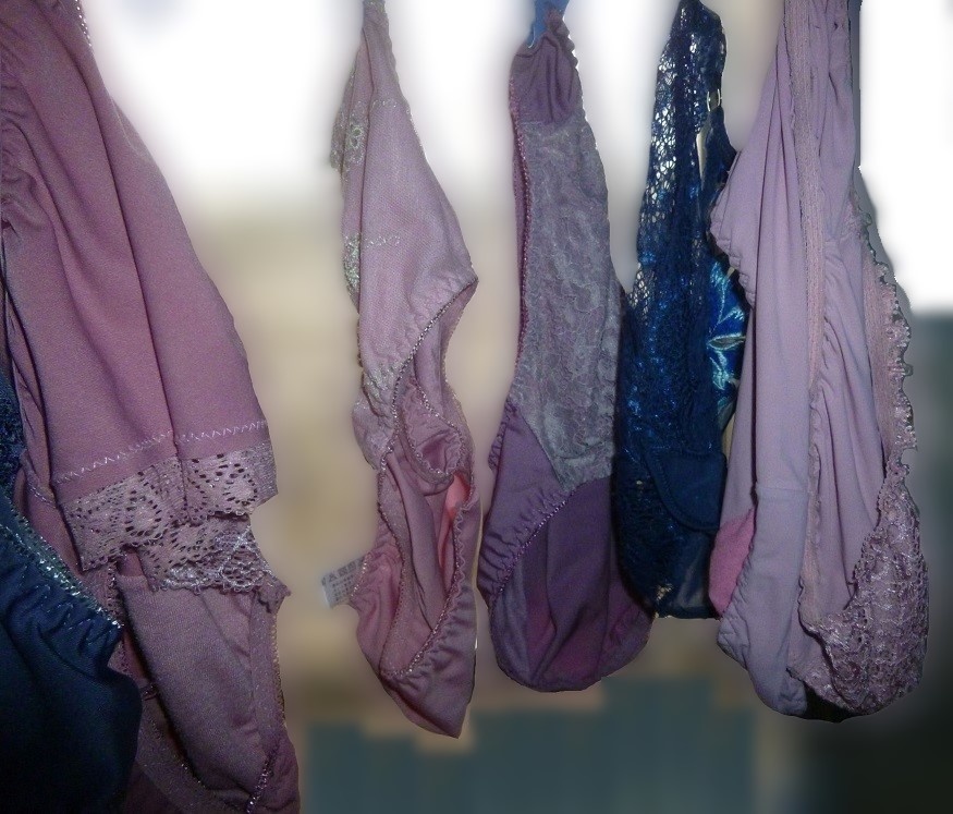 洗濯日和の画像その1