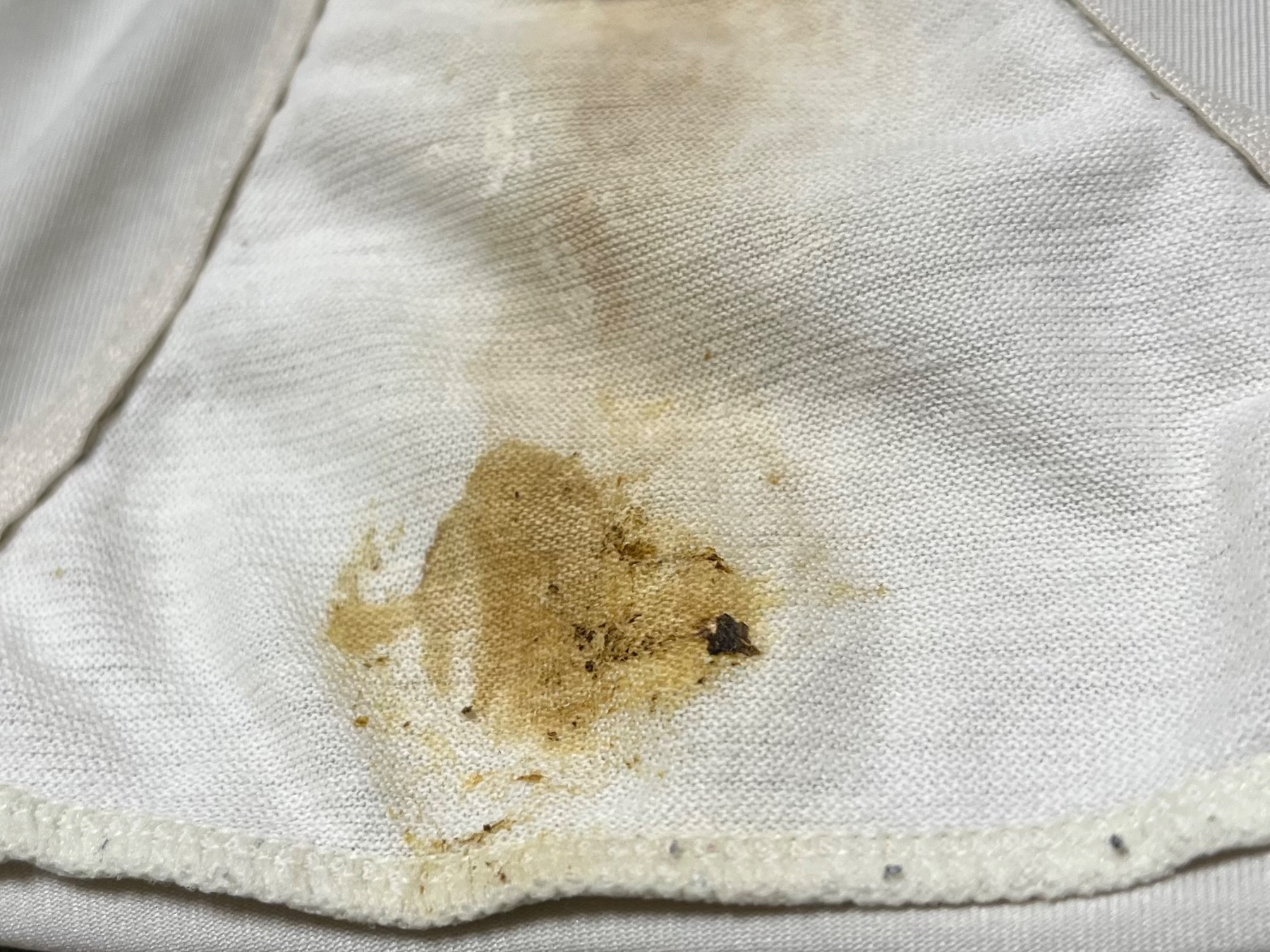 妻の汚パンツ②の画像その3