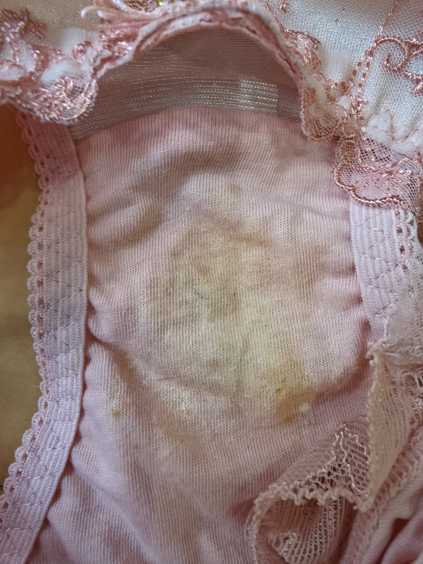 24歳妻の夢の国で履いたパンツの画像その3