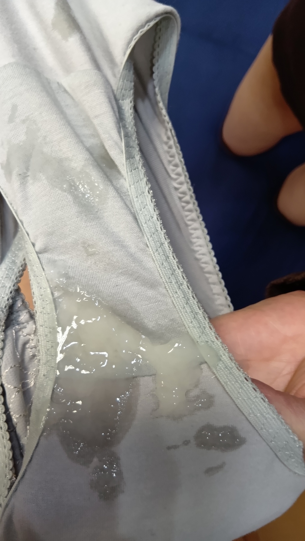 調教してますの画像その3