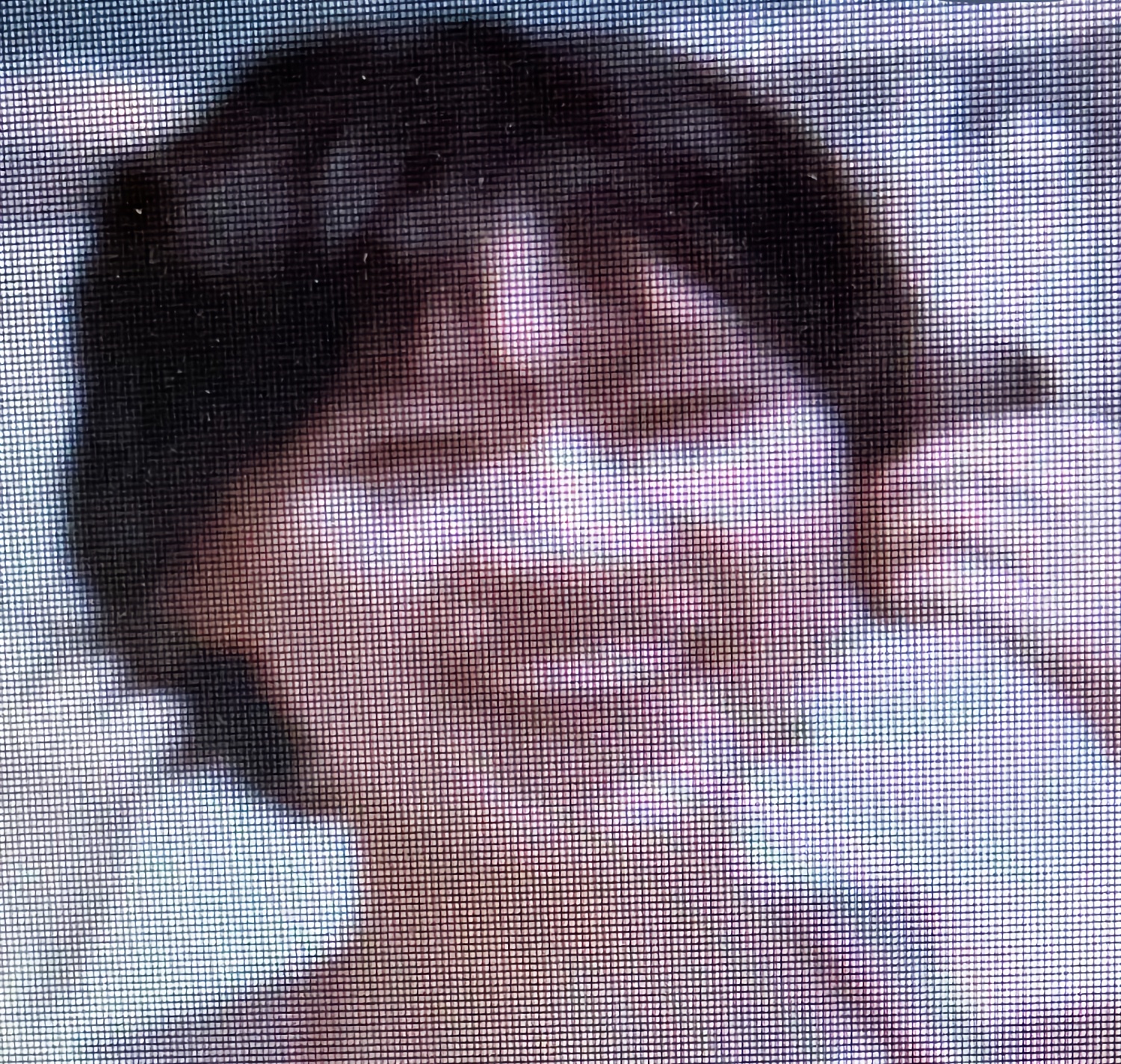 久しぶりですがの画像その1