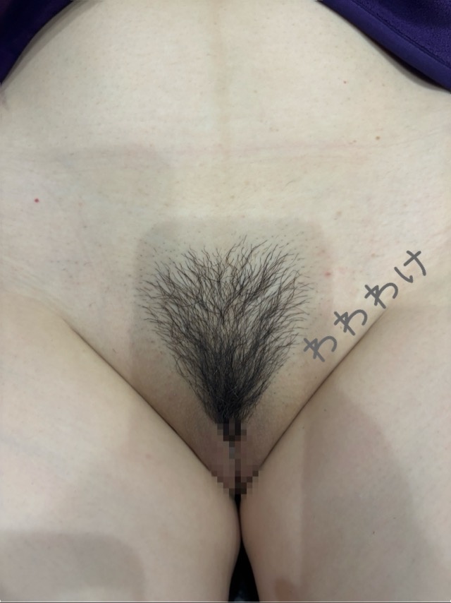 お手入れの画像その3