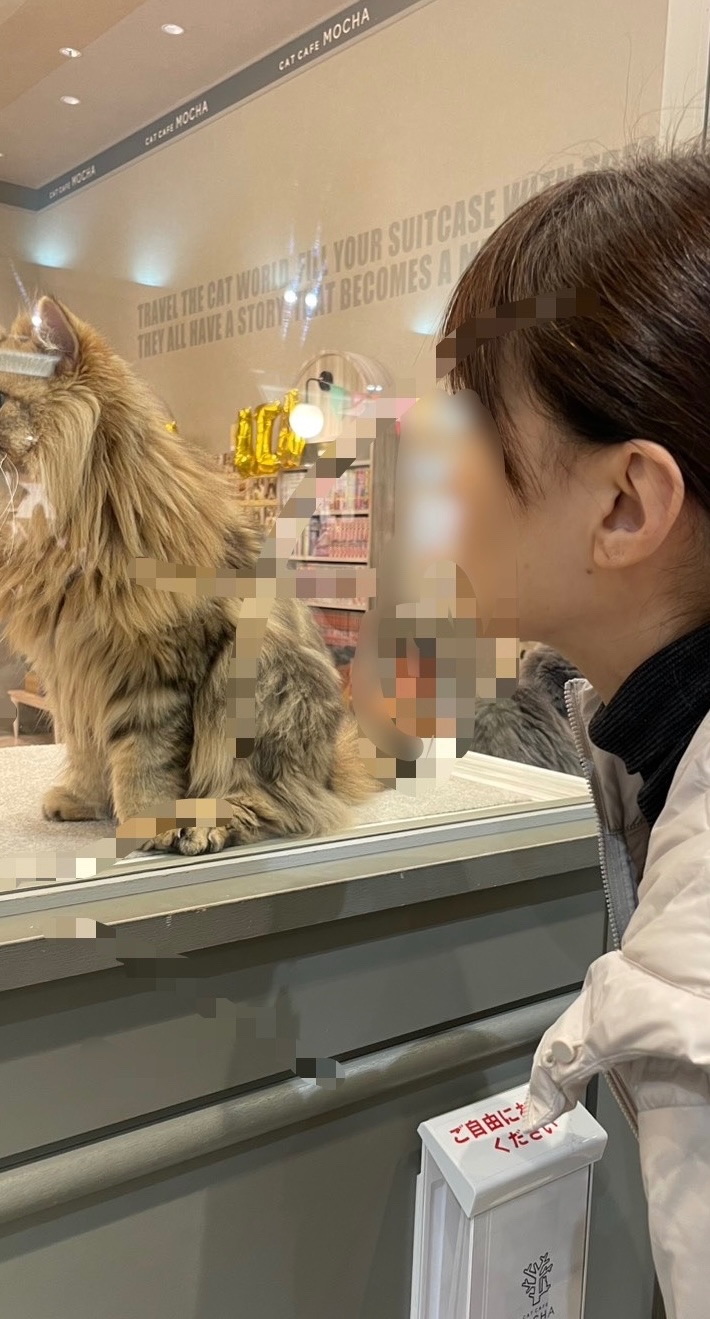 再募集の画像その1