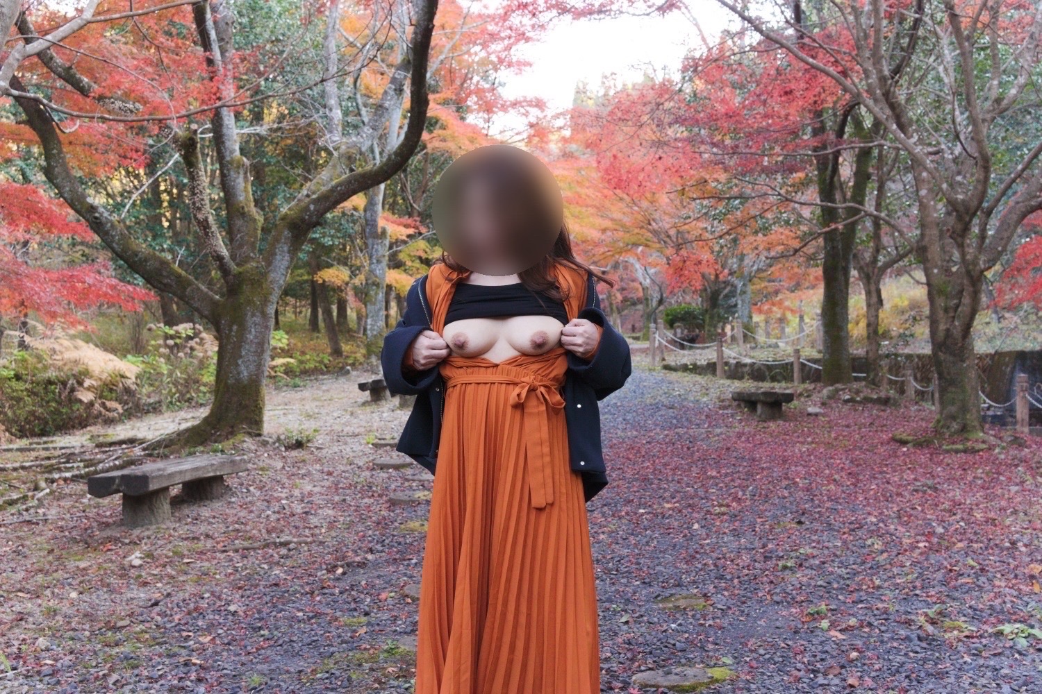 紅葉めぐりの画像その4
