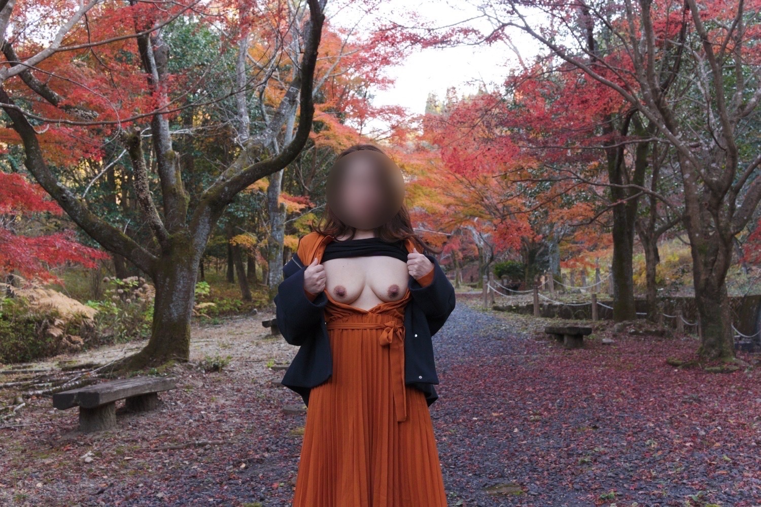 紅葉めぐりの画像その5