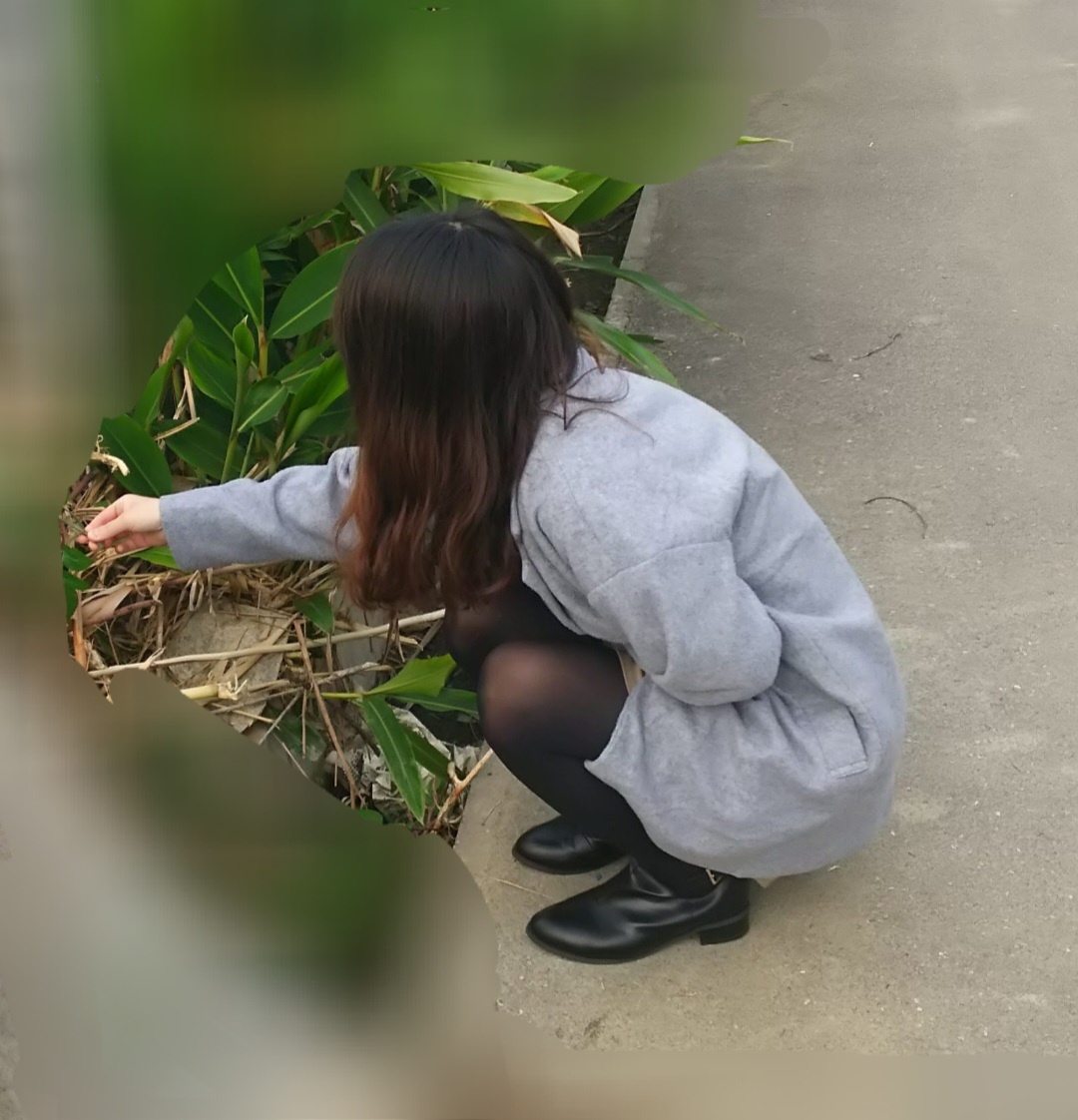 冬妻の画像その2