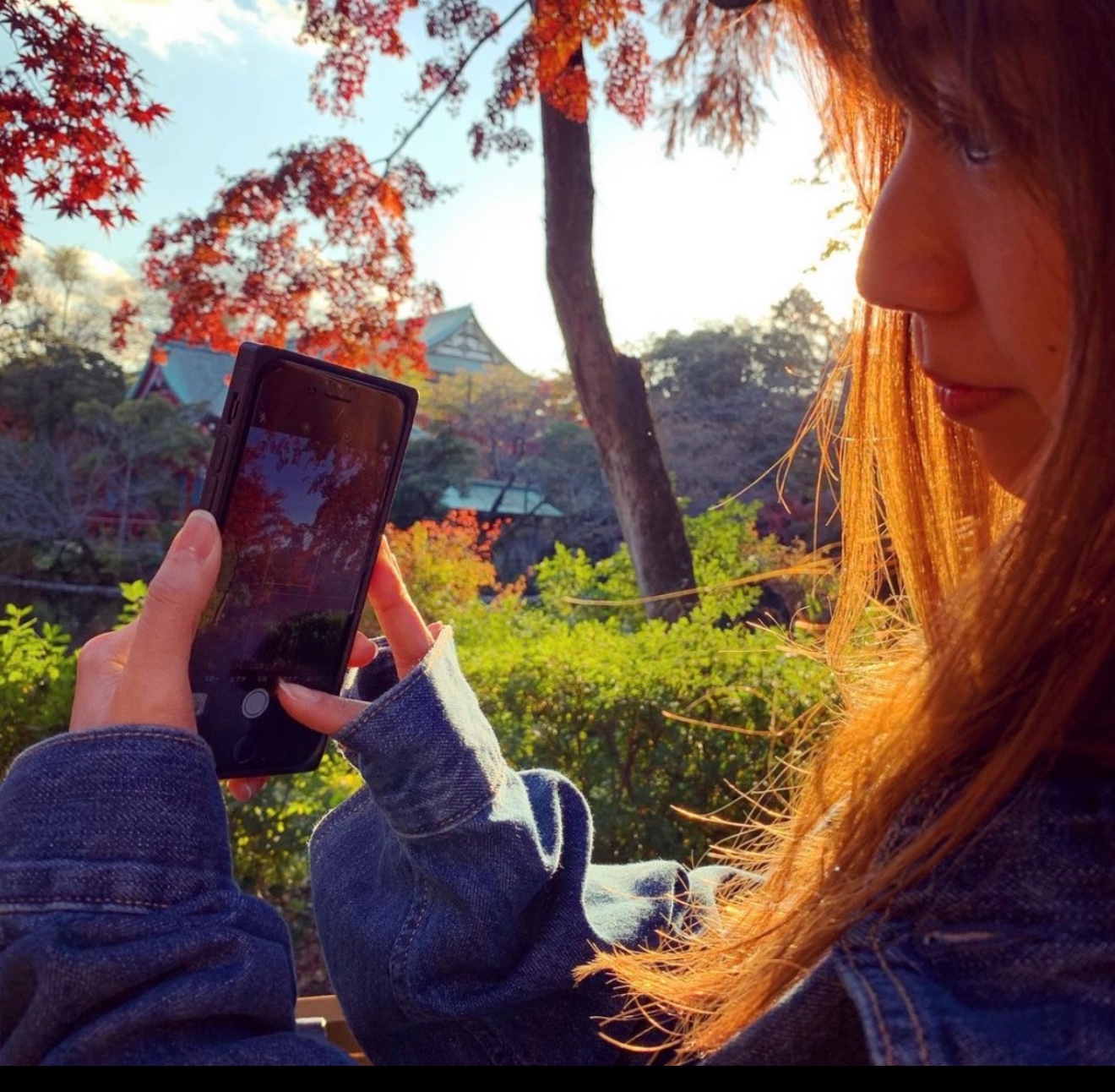 ２回目のネトラセの画像その1