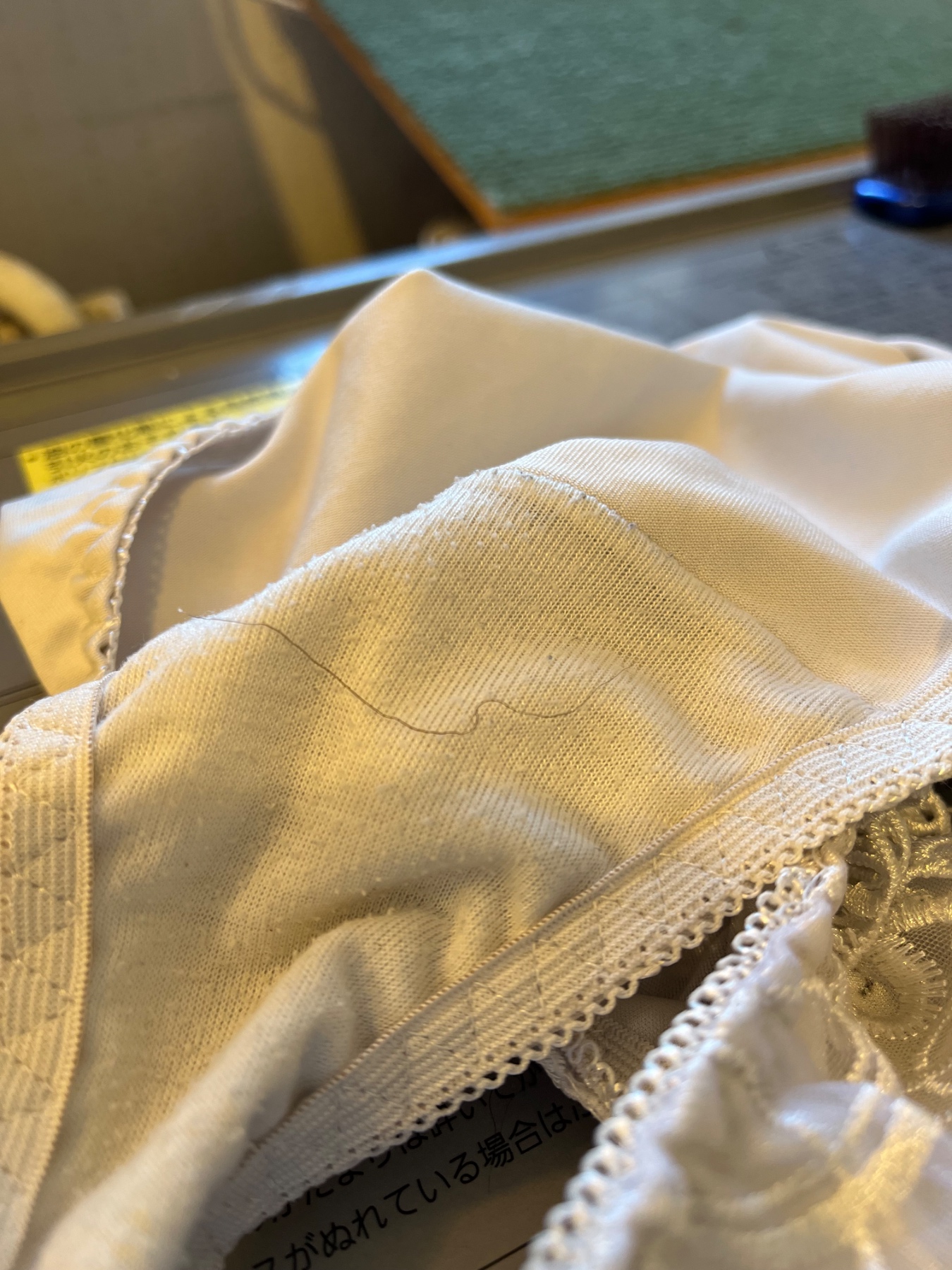 お宝発見の画像その2