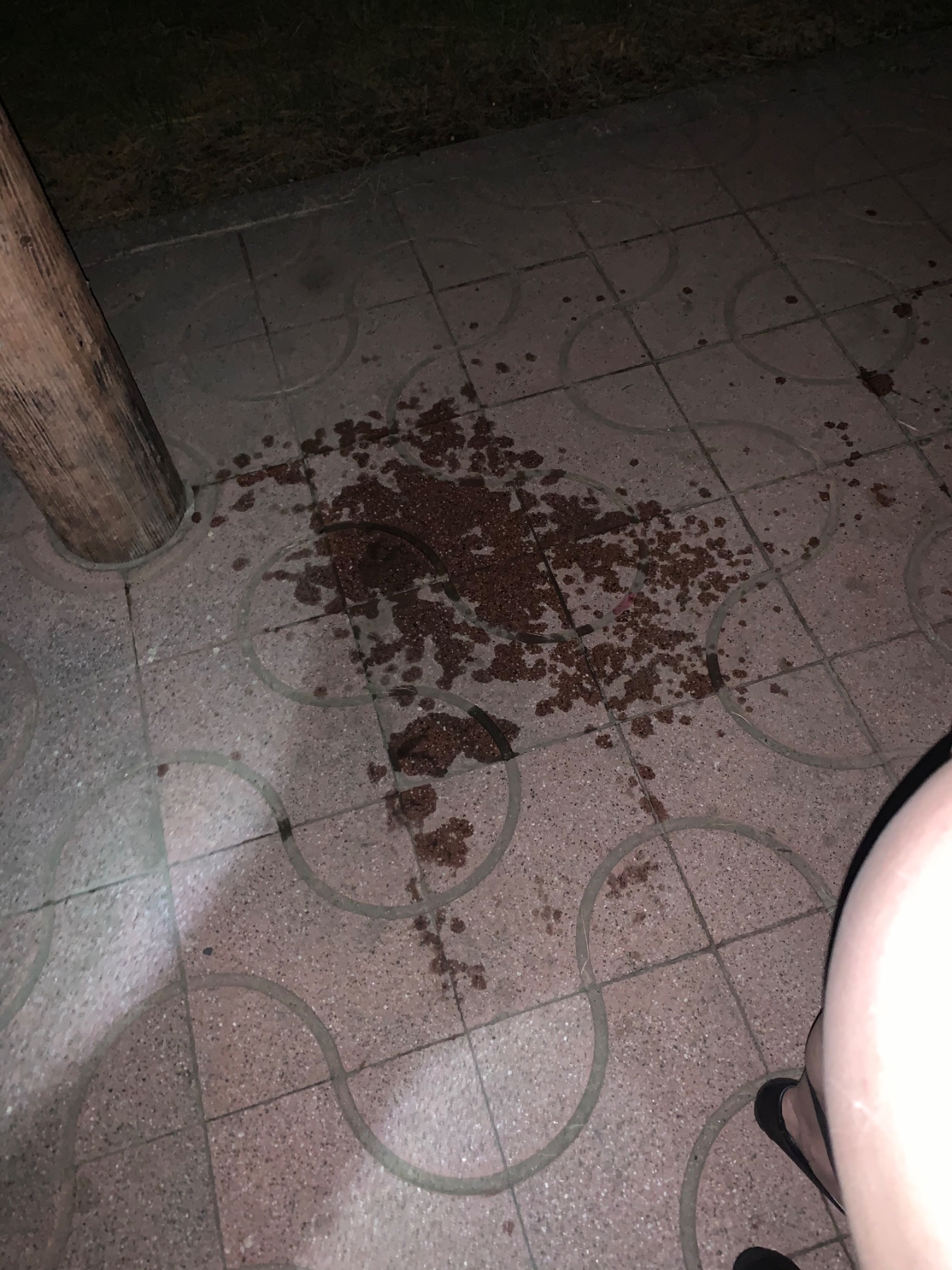 潮吹きの画像その3