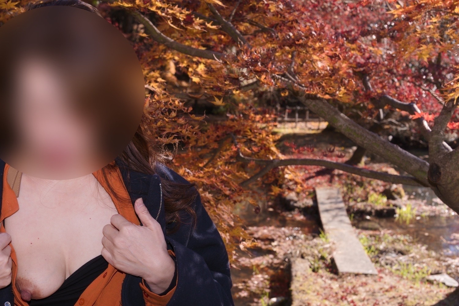 紅葉めぐり②の画像その1