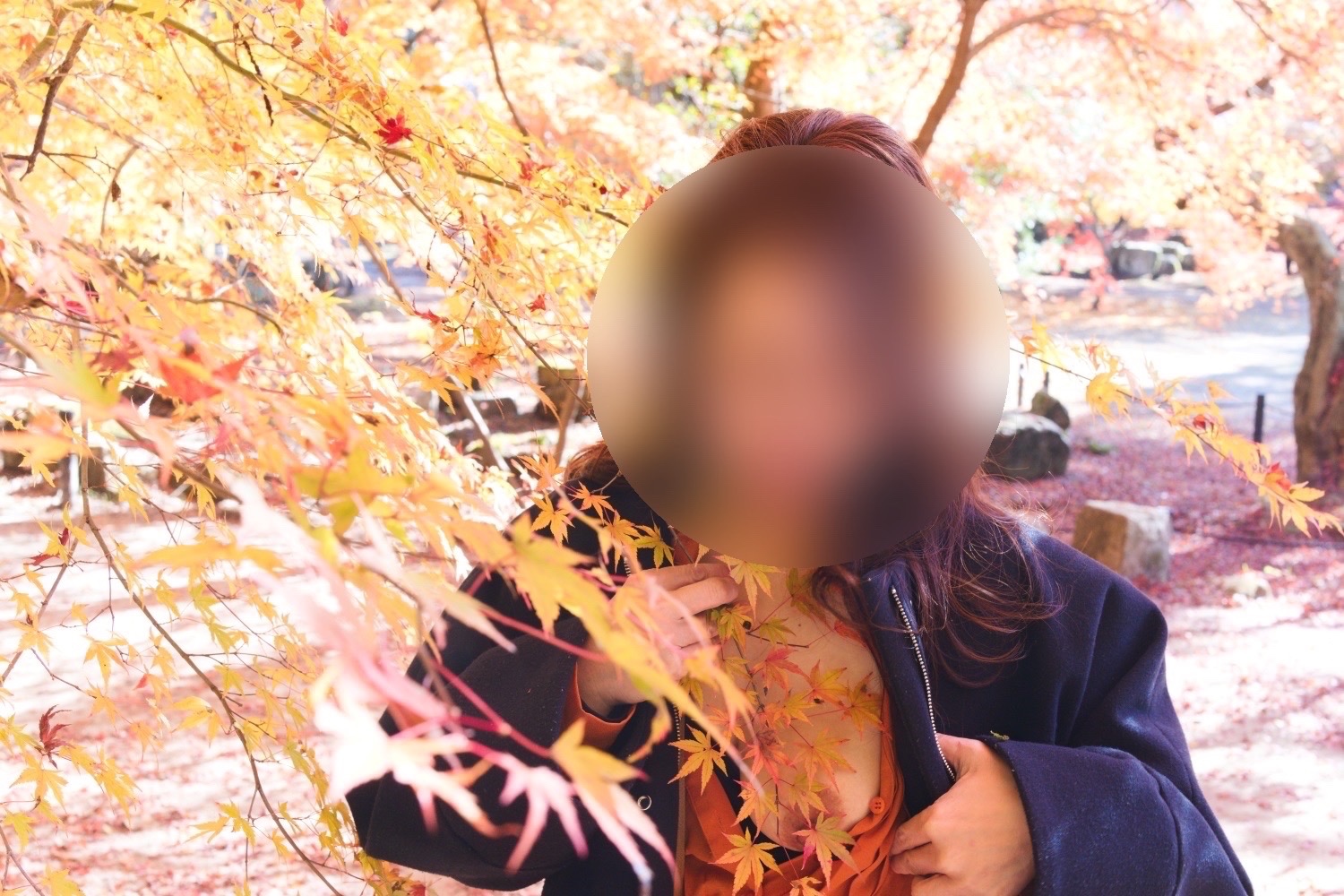 紅葉めぐり②の画像その4