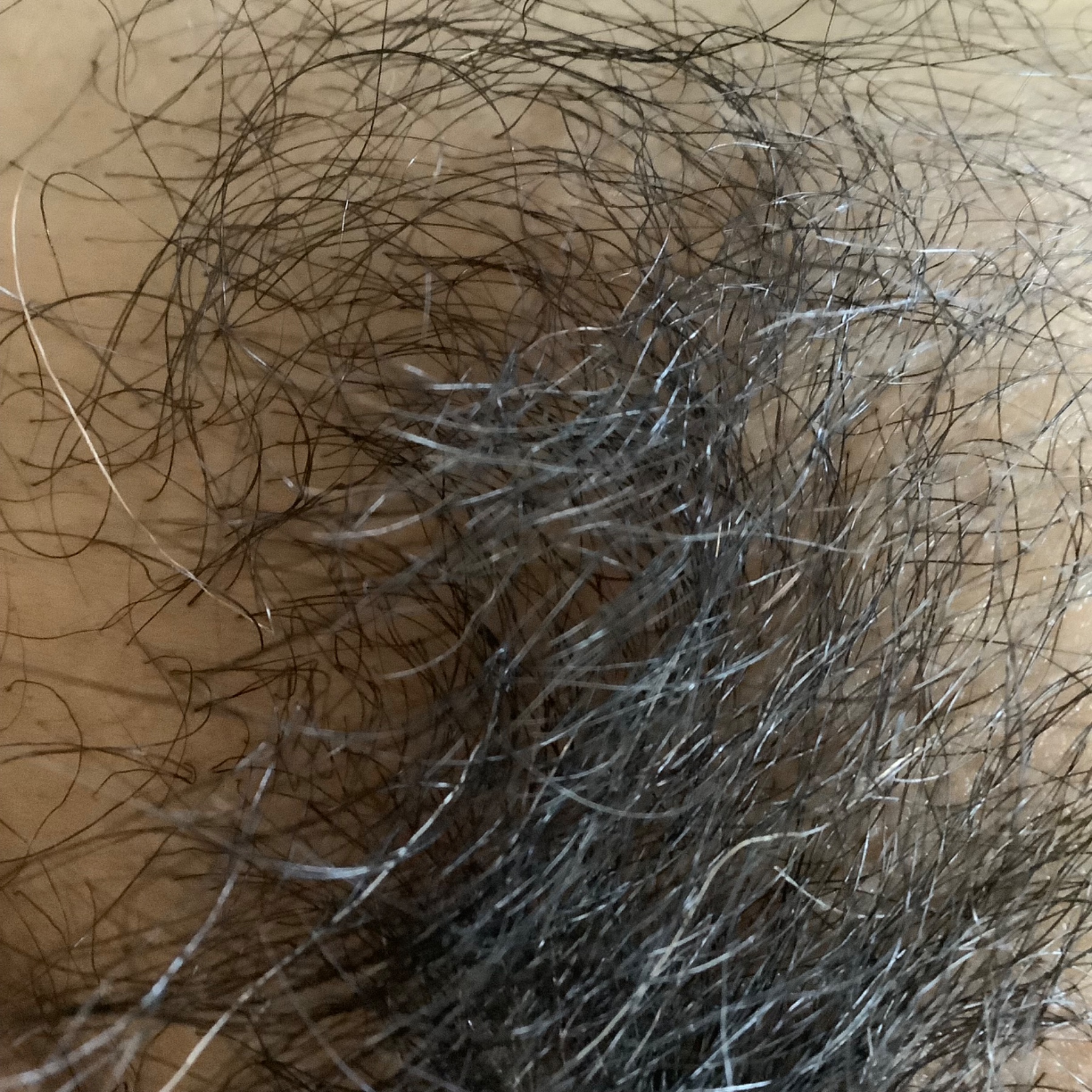 熟妻の画像その2