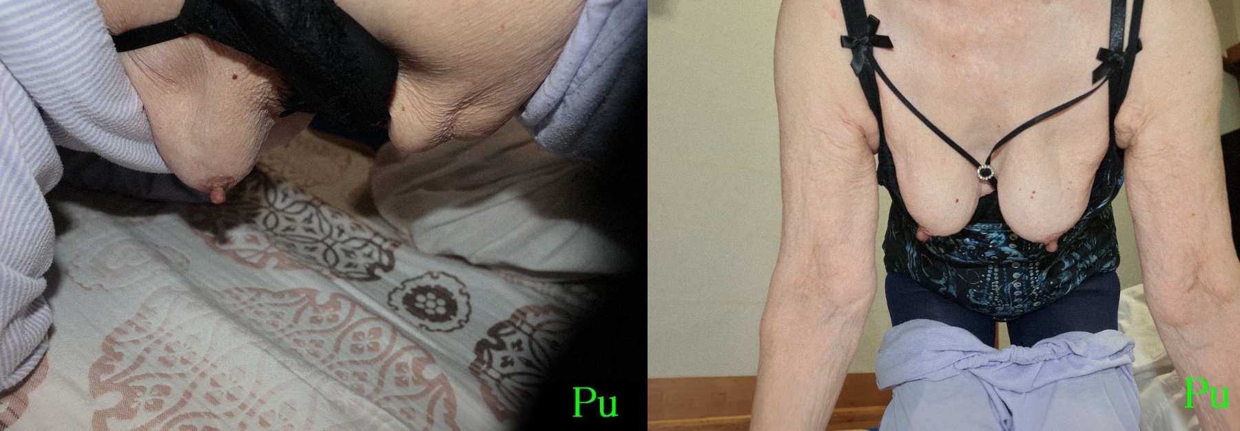 昭和婆47　色々とソフトの画像その1