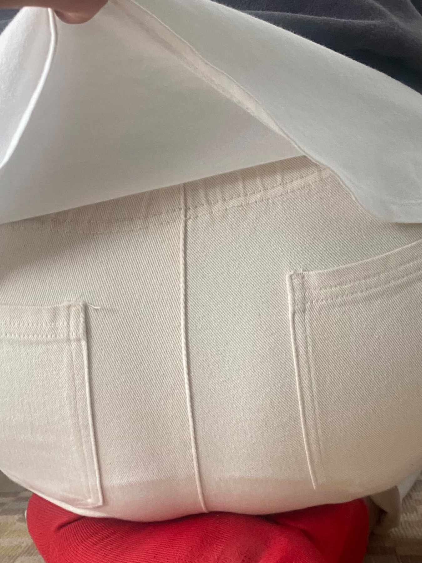 このお尻の画像その3