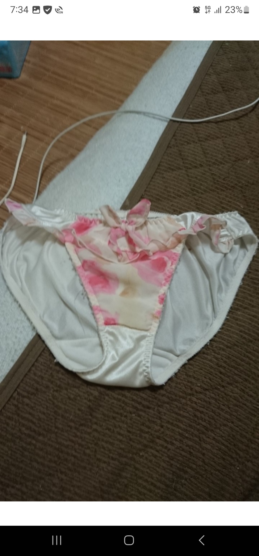 嫁のパンティの画像その2